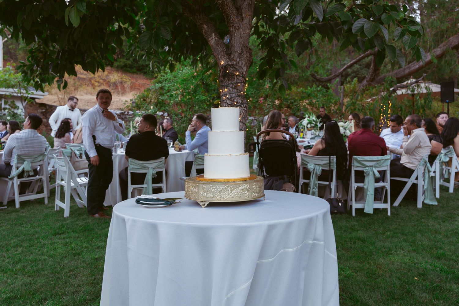 Outdoor wedding reception with round tables and guests seated under trees.