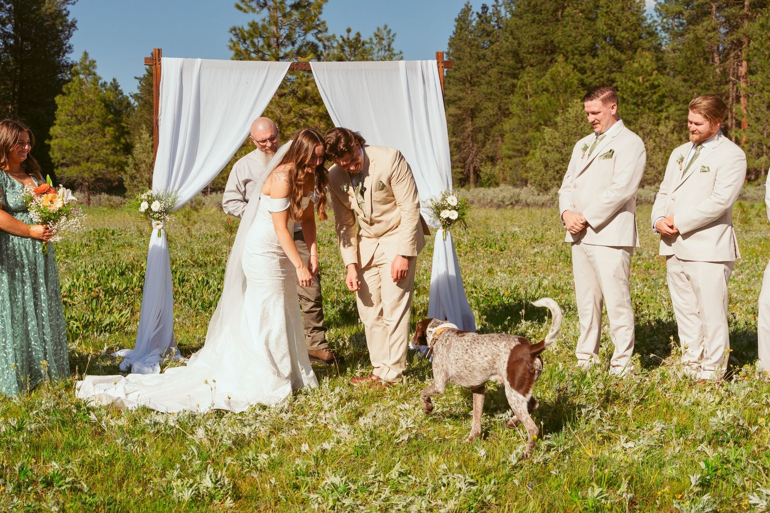 Wedding party lines up in meadow with white ceremony arch and pine forest backdrop.