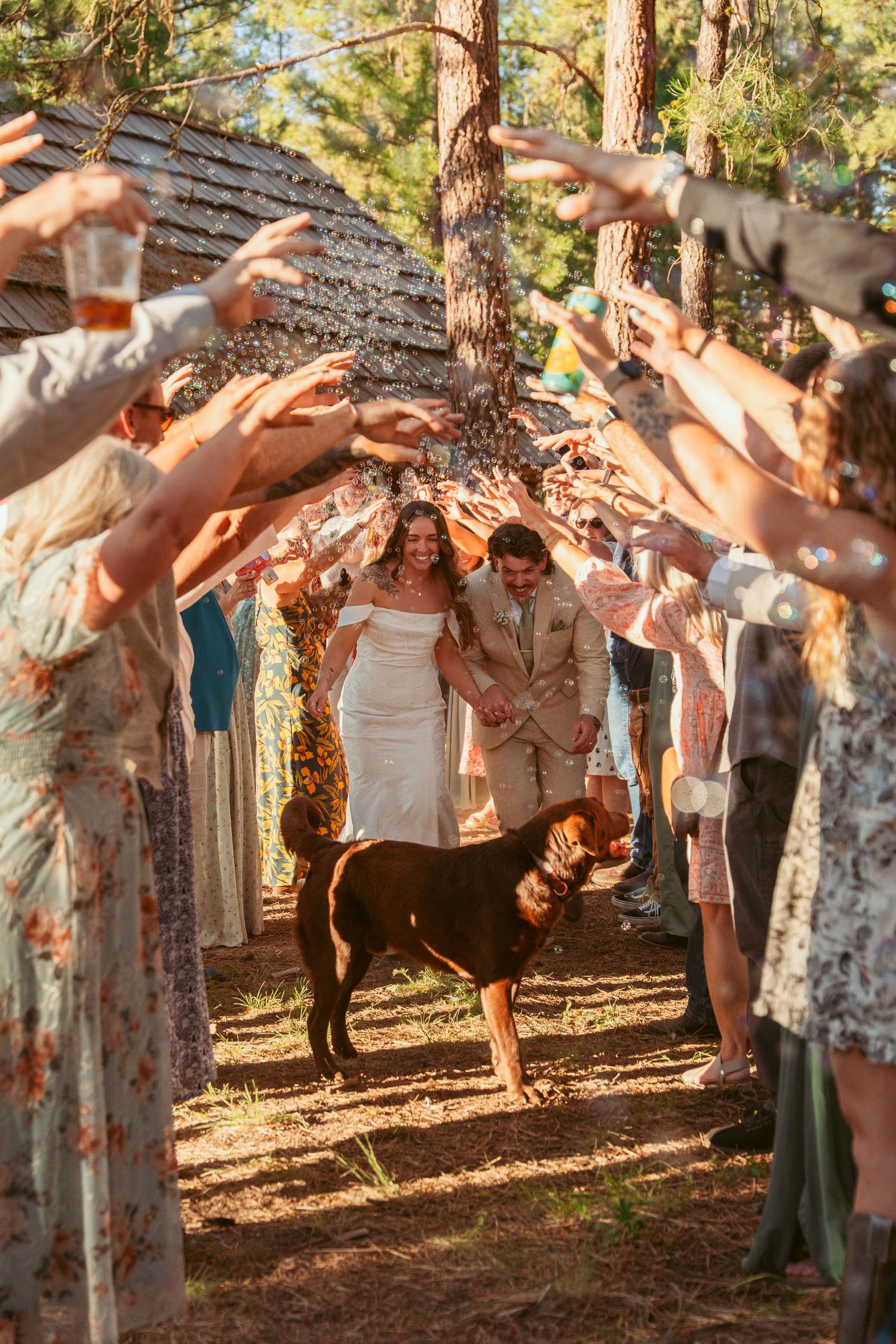 Couple and their dog walking through guest tunnel during forest wedding celebration.
