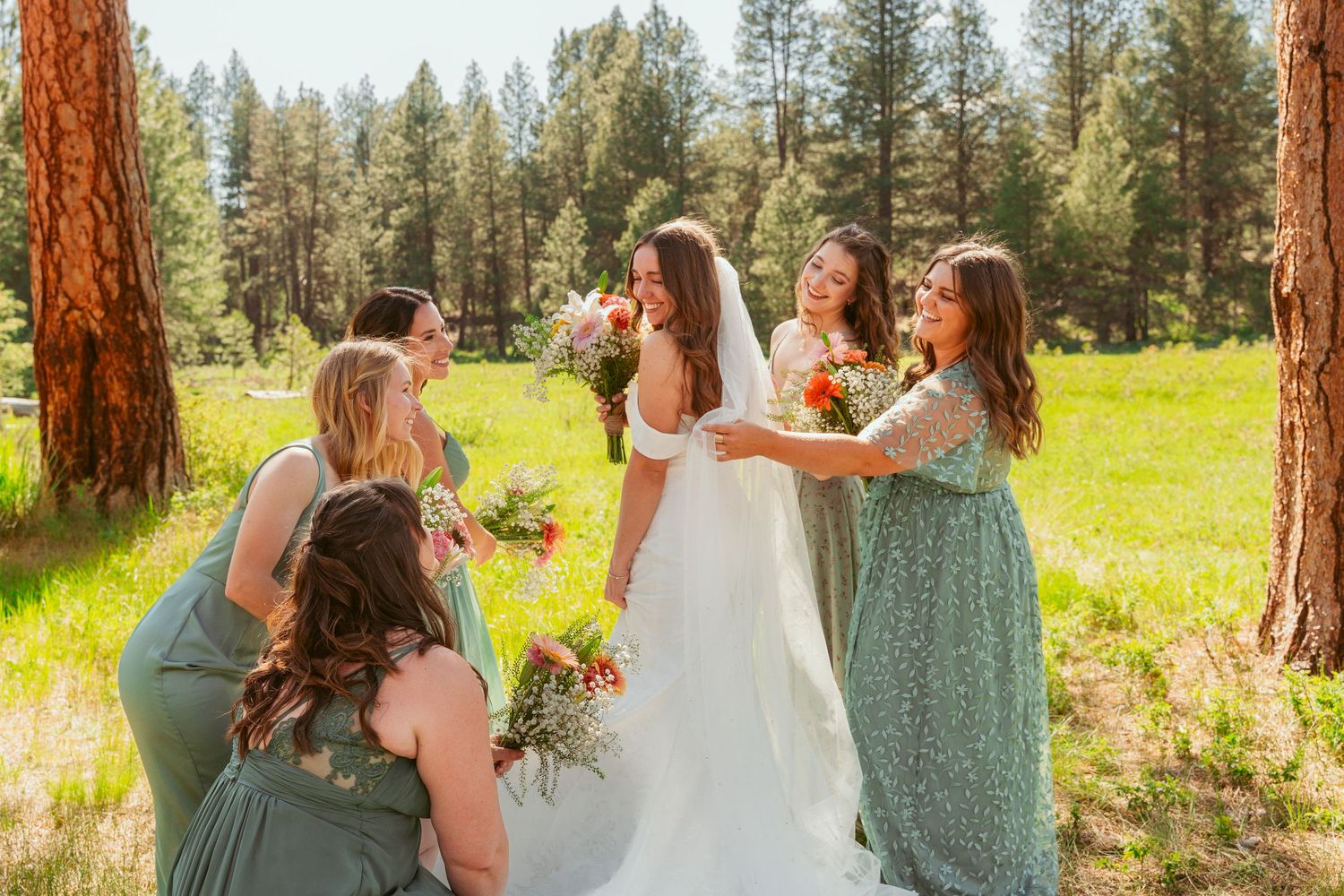 Wedding party poses casually between tall pine trees in meadow setting.
