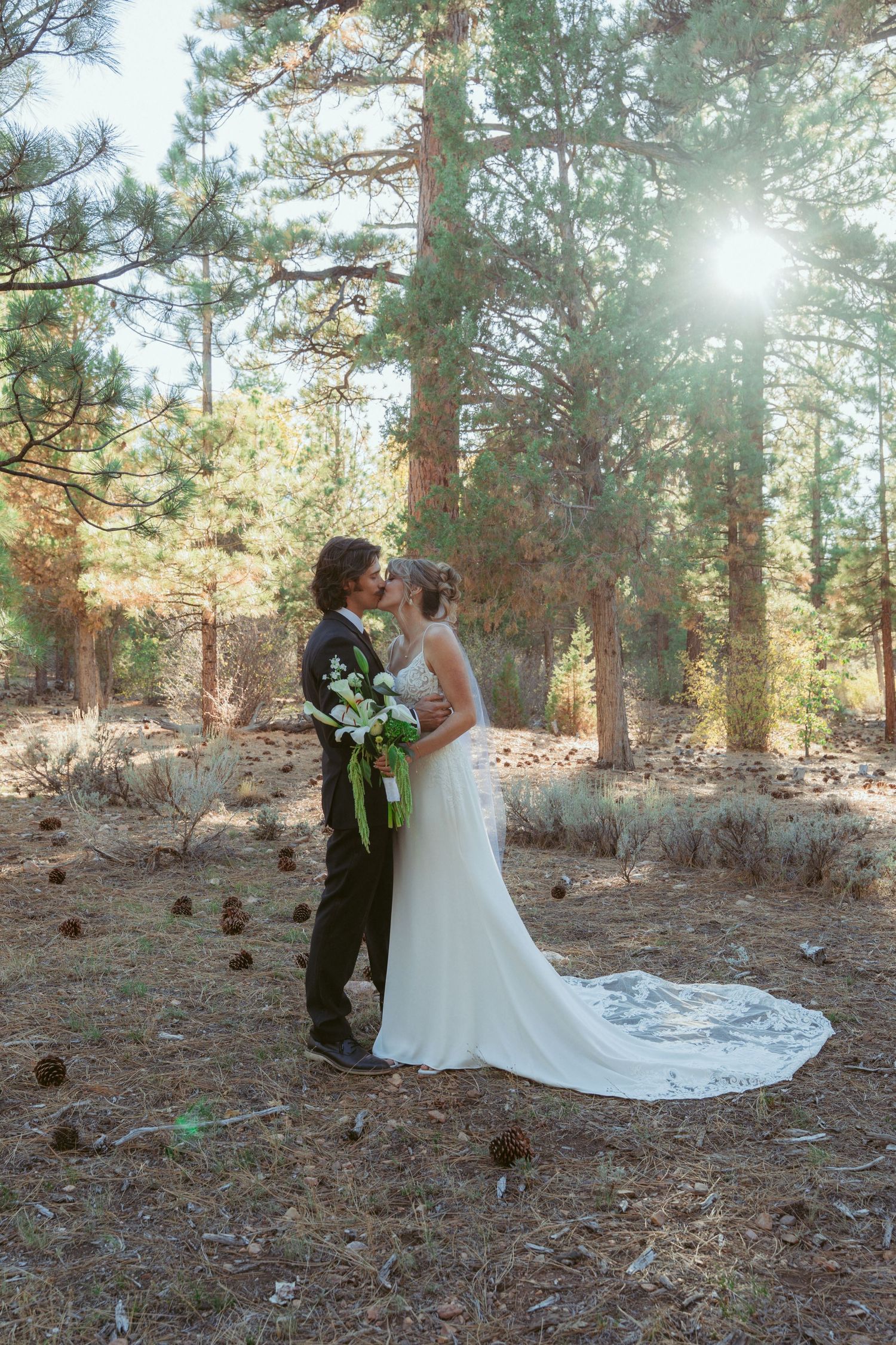 A wedding couple shares an intimate moment among tall pine trees in dappled sunlight.