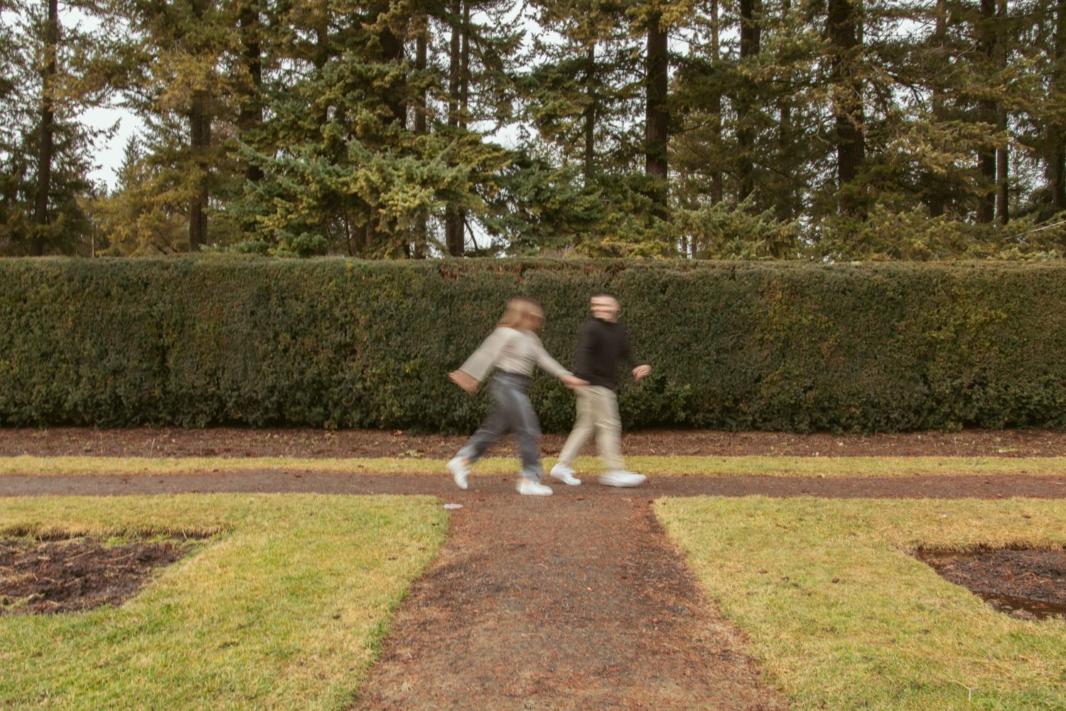 A couple runs playfully through a garden path surrounded by evergreen trees.