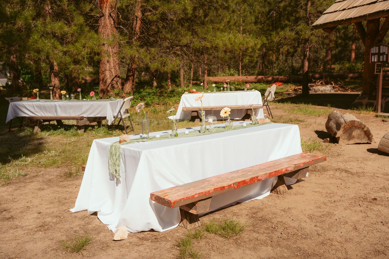 Long tables with white linens arranged outdoors among pine trees for an event.