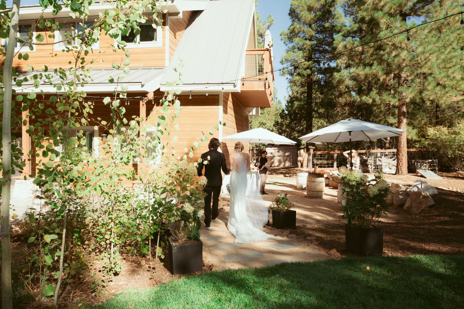 Outdoor wedding venue with pine trees and white chairs set up on green grass.