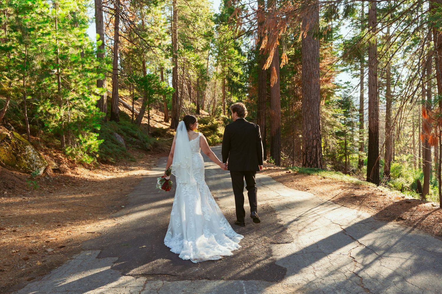 Sunlit forest wedding photography session with towering pine trees creating natural shadows.