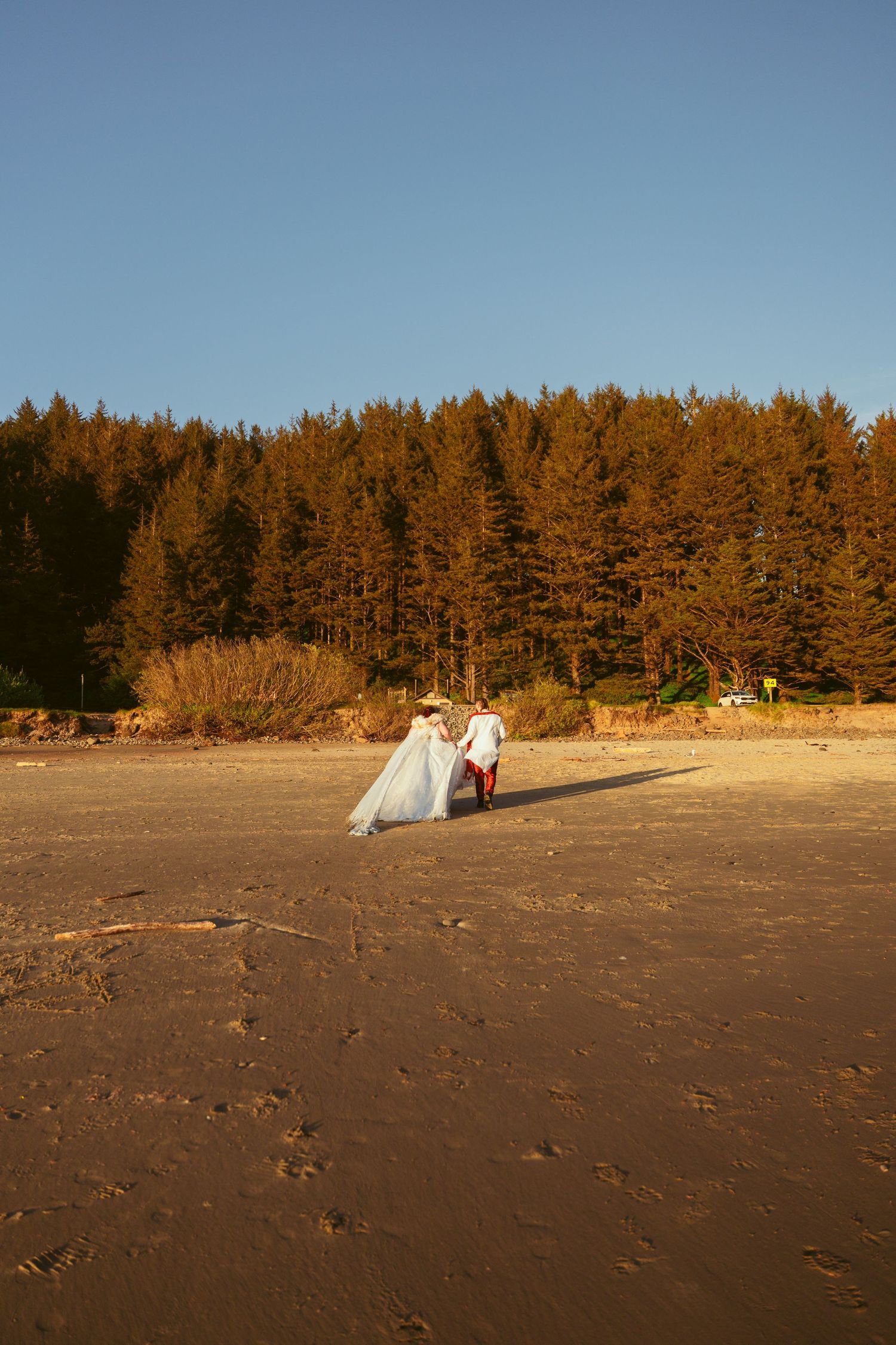 Couple in wedding attire walking on a beach with evergreen forest backdrop at sunset.