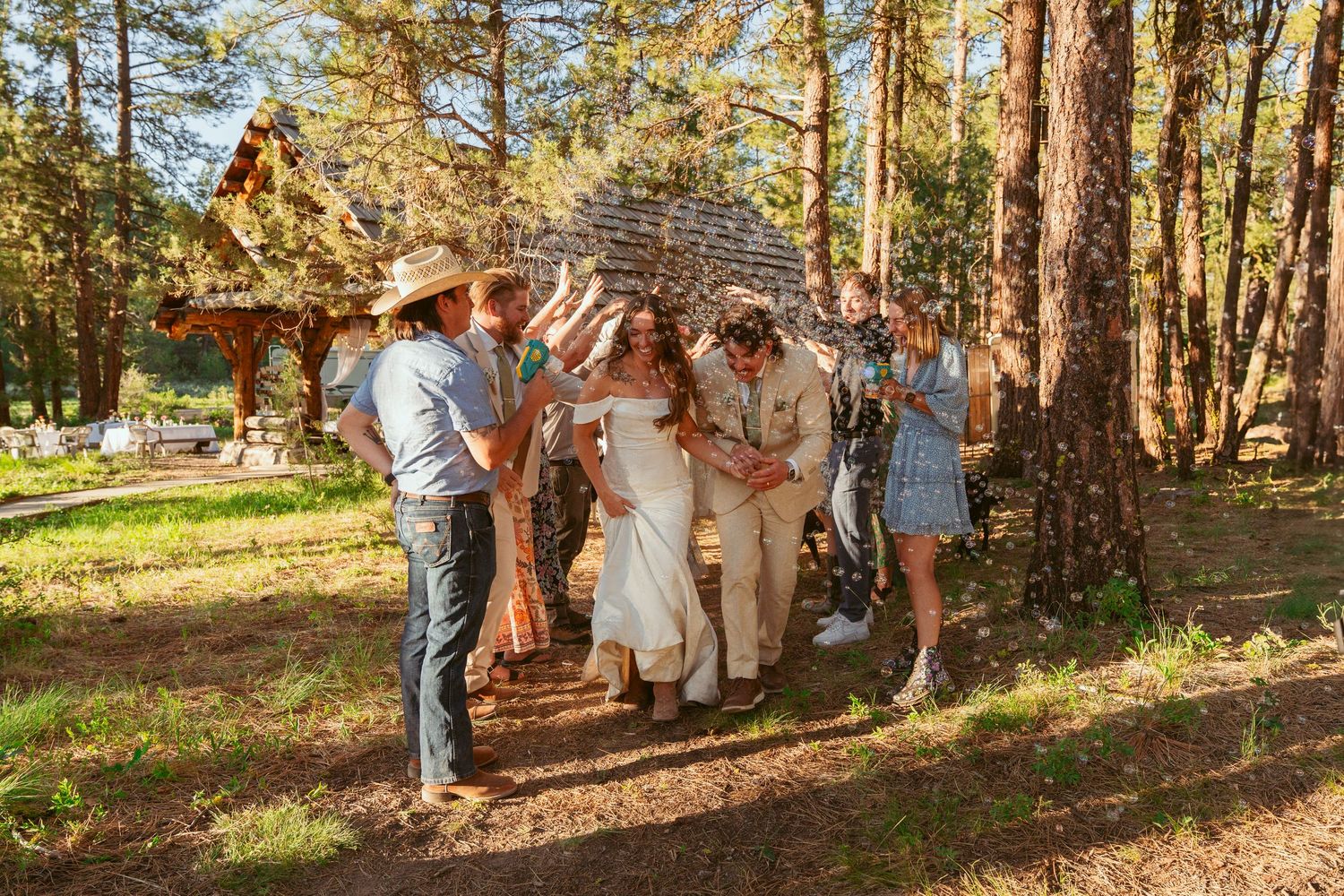 Wedding party celebrates in a sun-dappled forest setting with tall pine trees in the background.