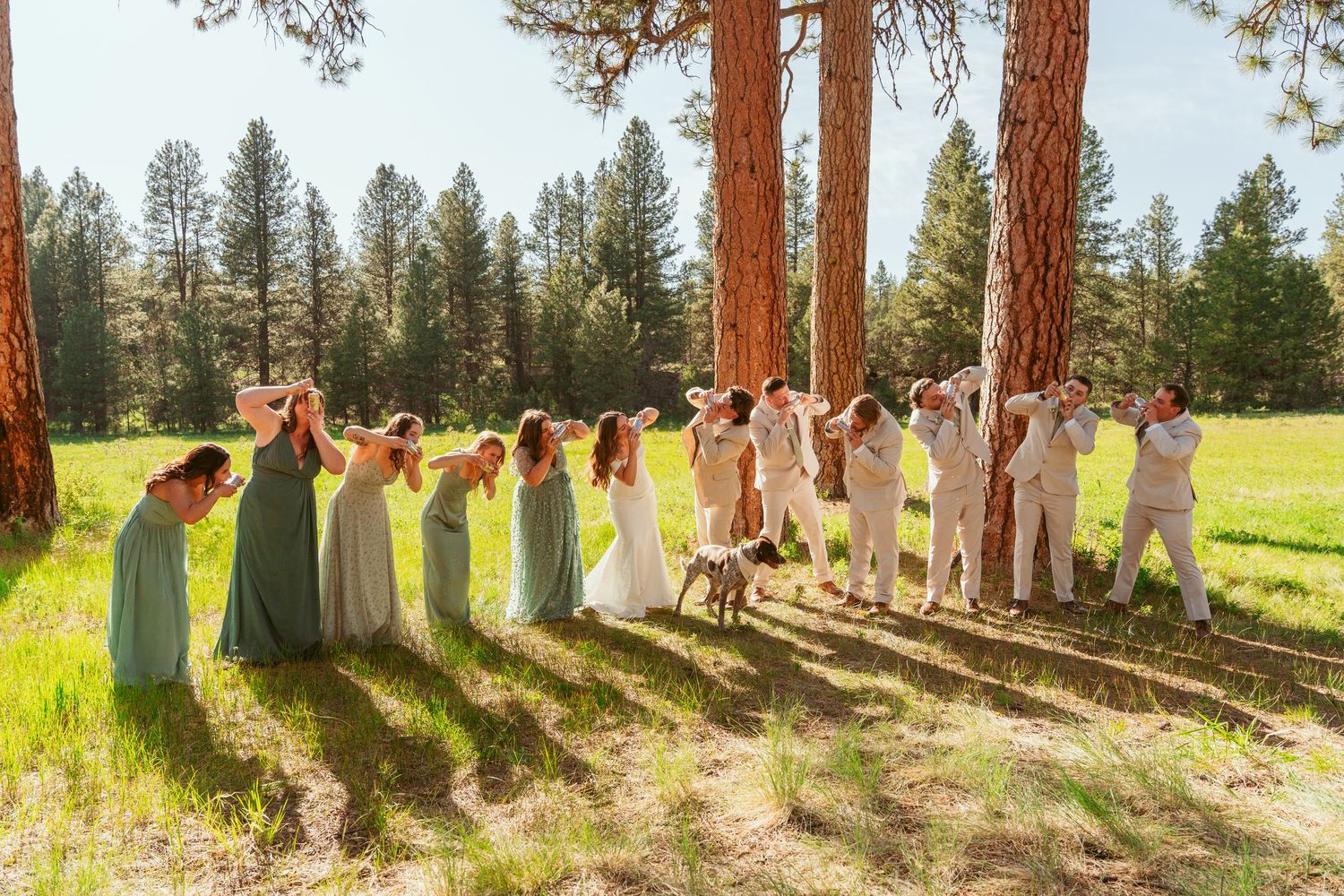 Wedding party poses among tall pine trees in a scenic outdoor forest setting.