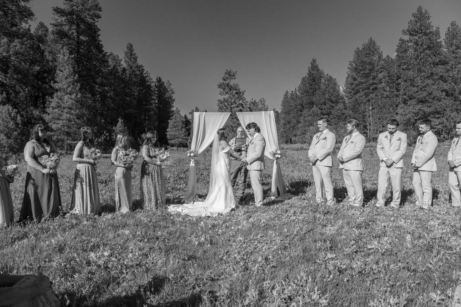 Black and white panoramic shot of wedding party lined up in mountain meadow.