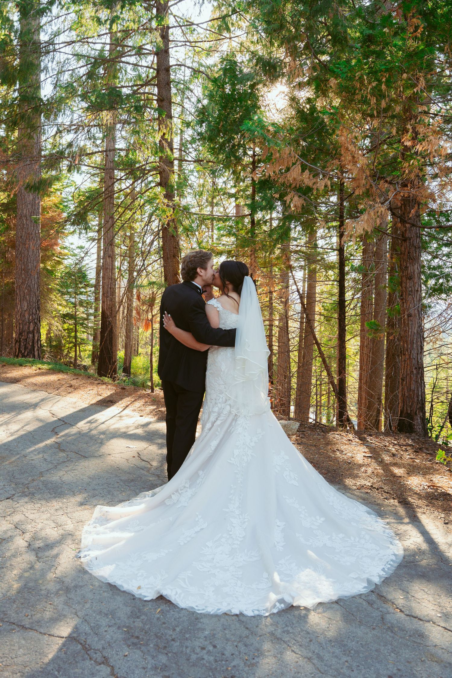 A bride in a flowing lace wedding dress stands with her partner on a forest path among tall pine trees.