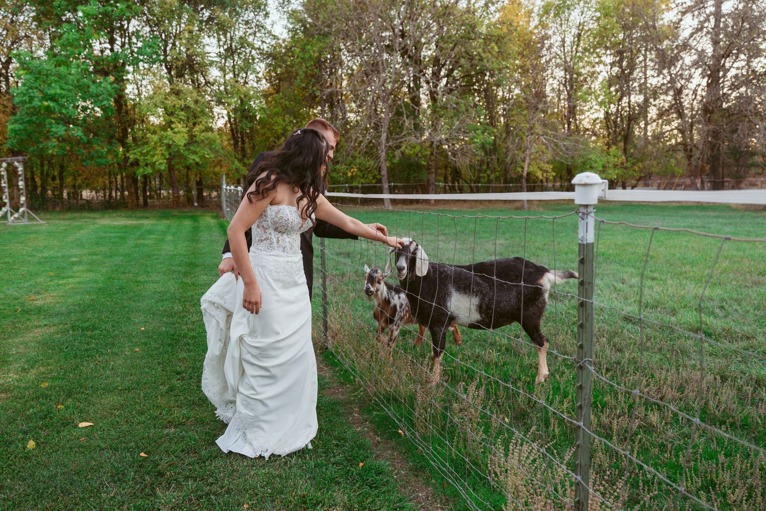 Bride in flowing lace gown walks through scenic outdoor garden setting.