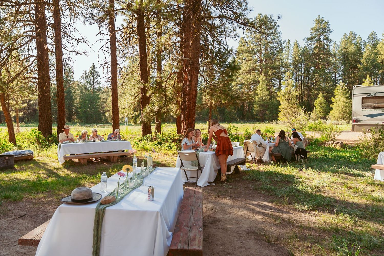 Wedding celebration in a rustic outdoor forest setting with tall pine trees and trailers in the background.