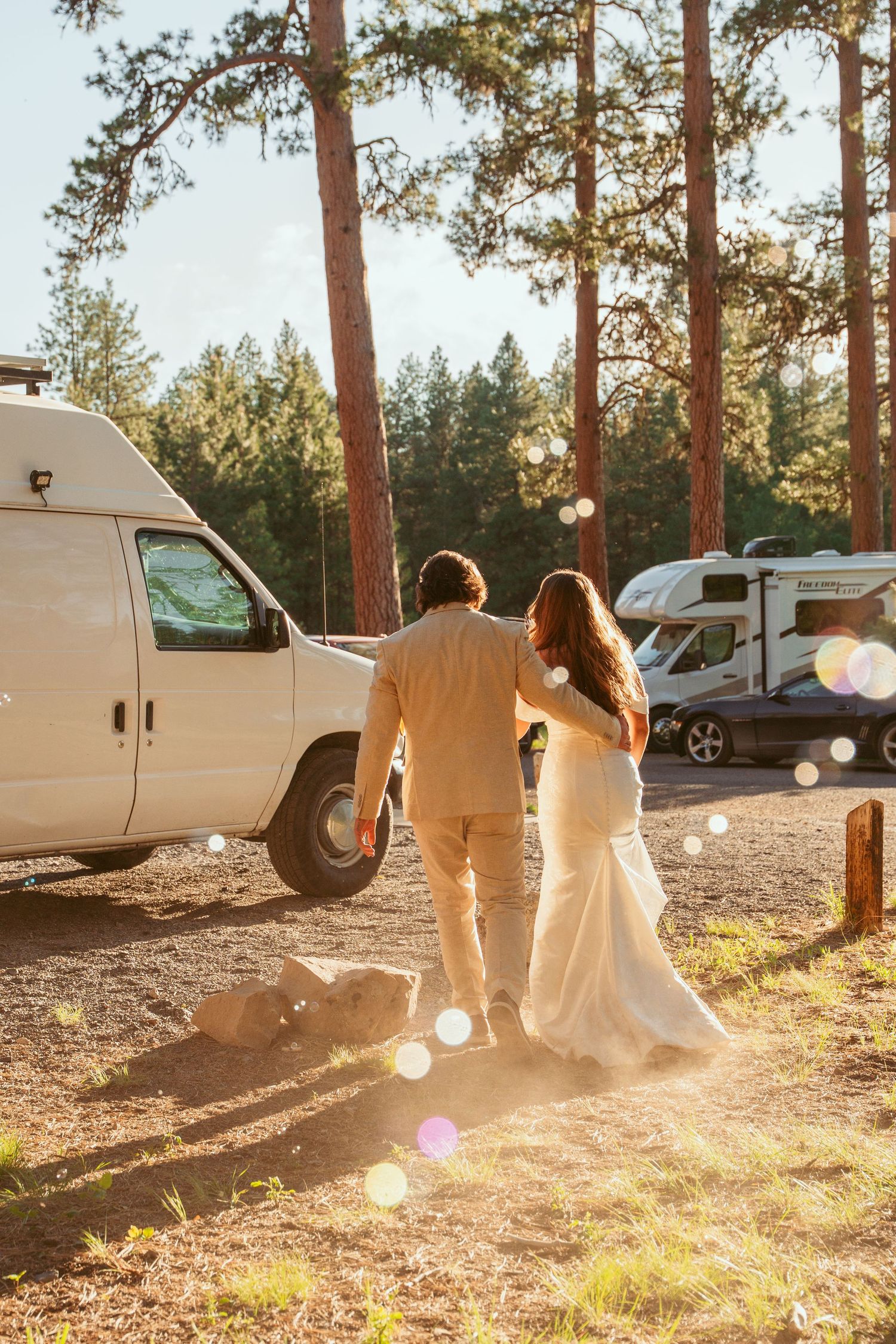 Wedding group walks through a pine forest with vehicles parked in the background.