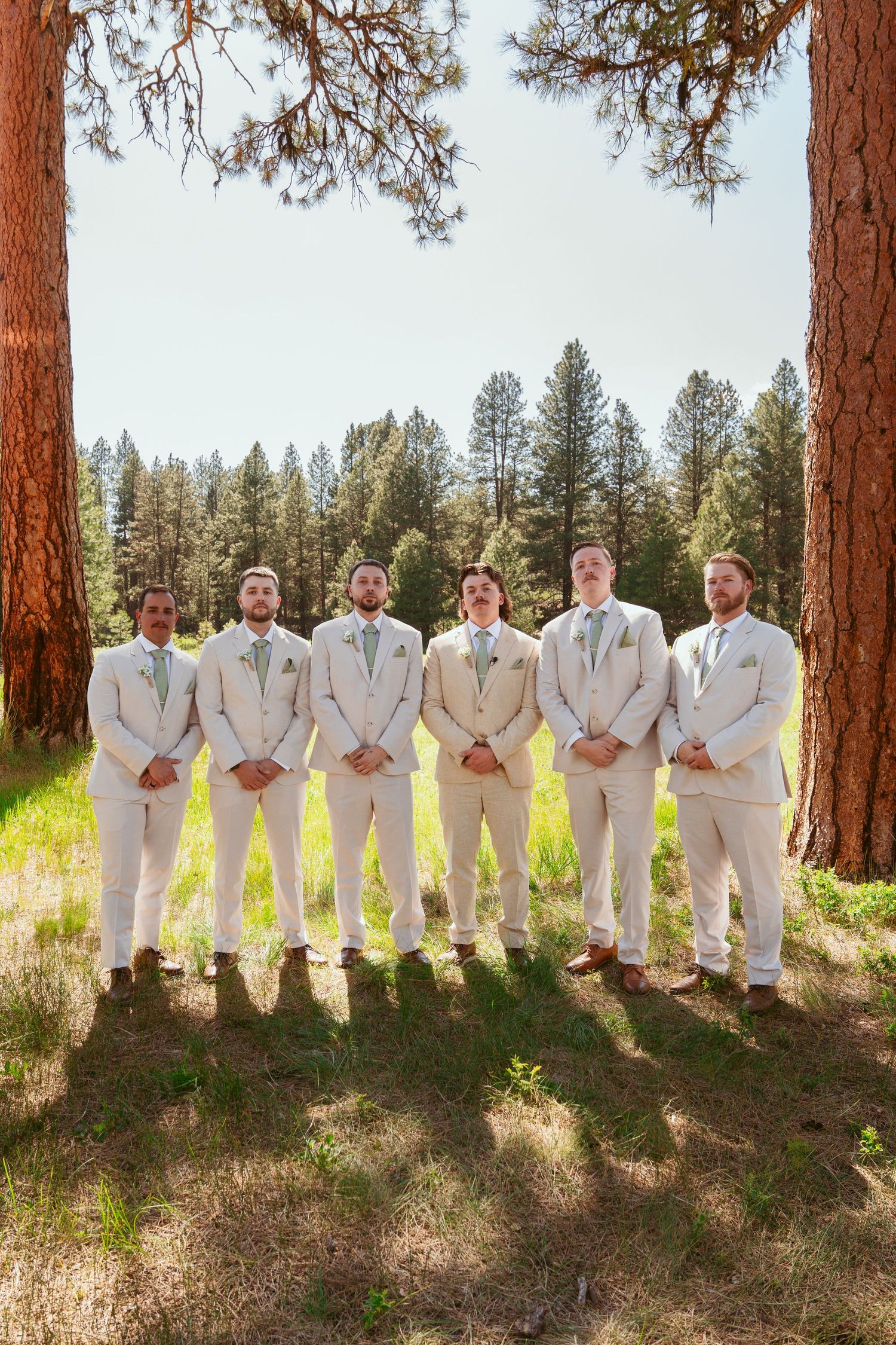 Groomsmen in cream suits pose in a line against a backdrop of towering ponderosa pines.
