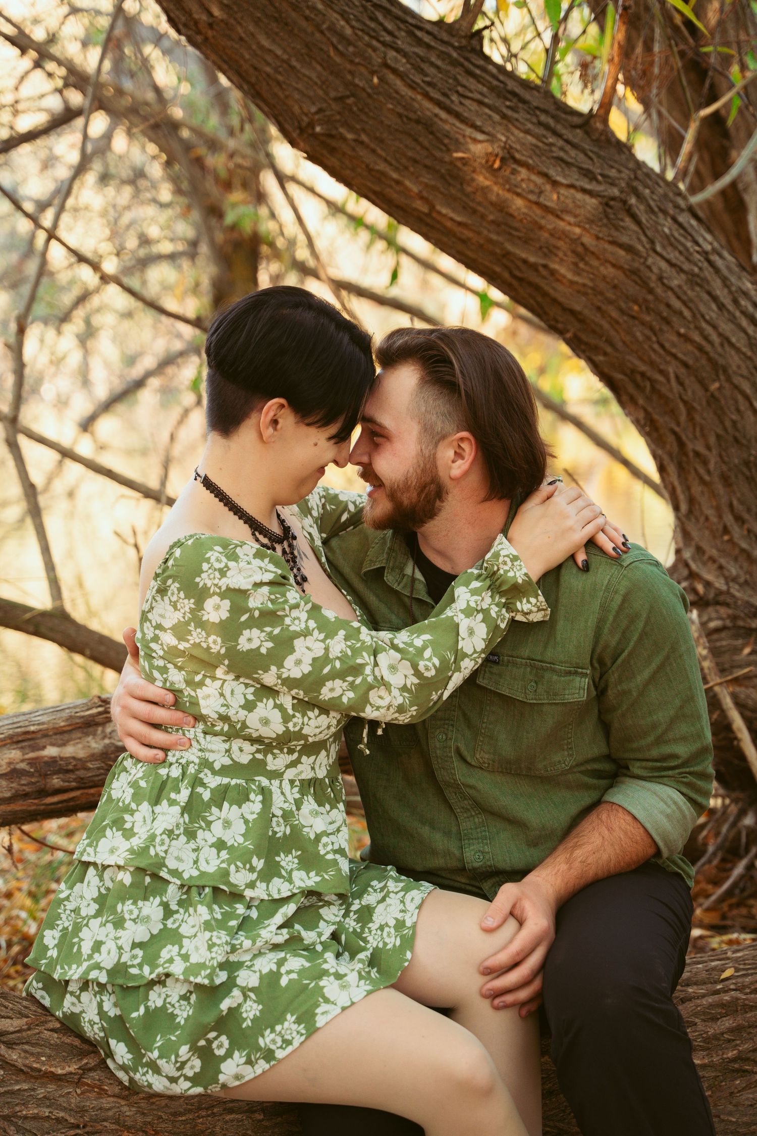 Romantic couple shares tender moments while sitting on fallen tree trunk.