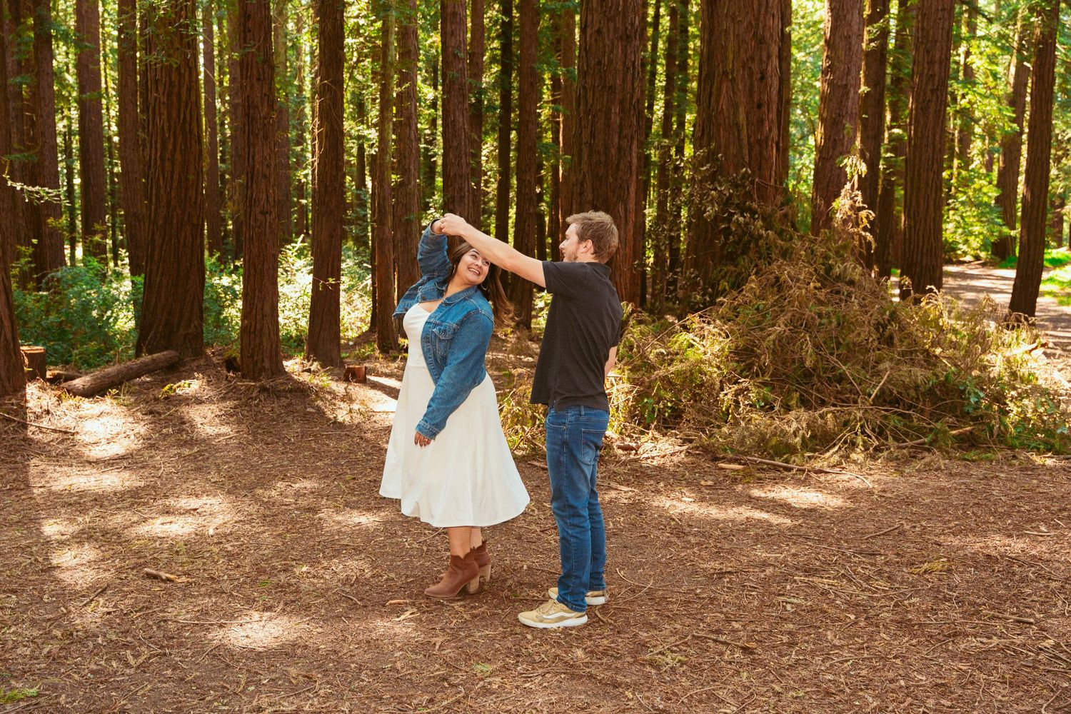 Towering redwood trees create a magical forest setting with filtered sunlight.