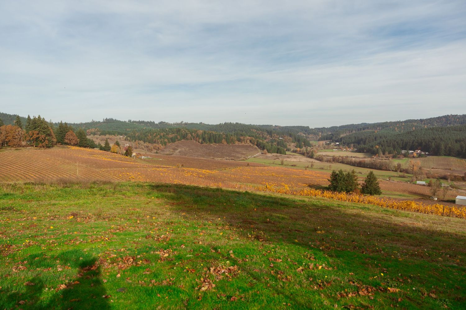 Panoramic view of rolling hills and farmland under cloudy skies.
