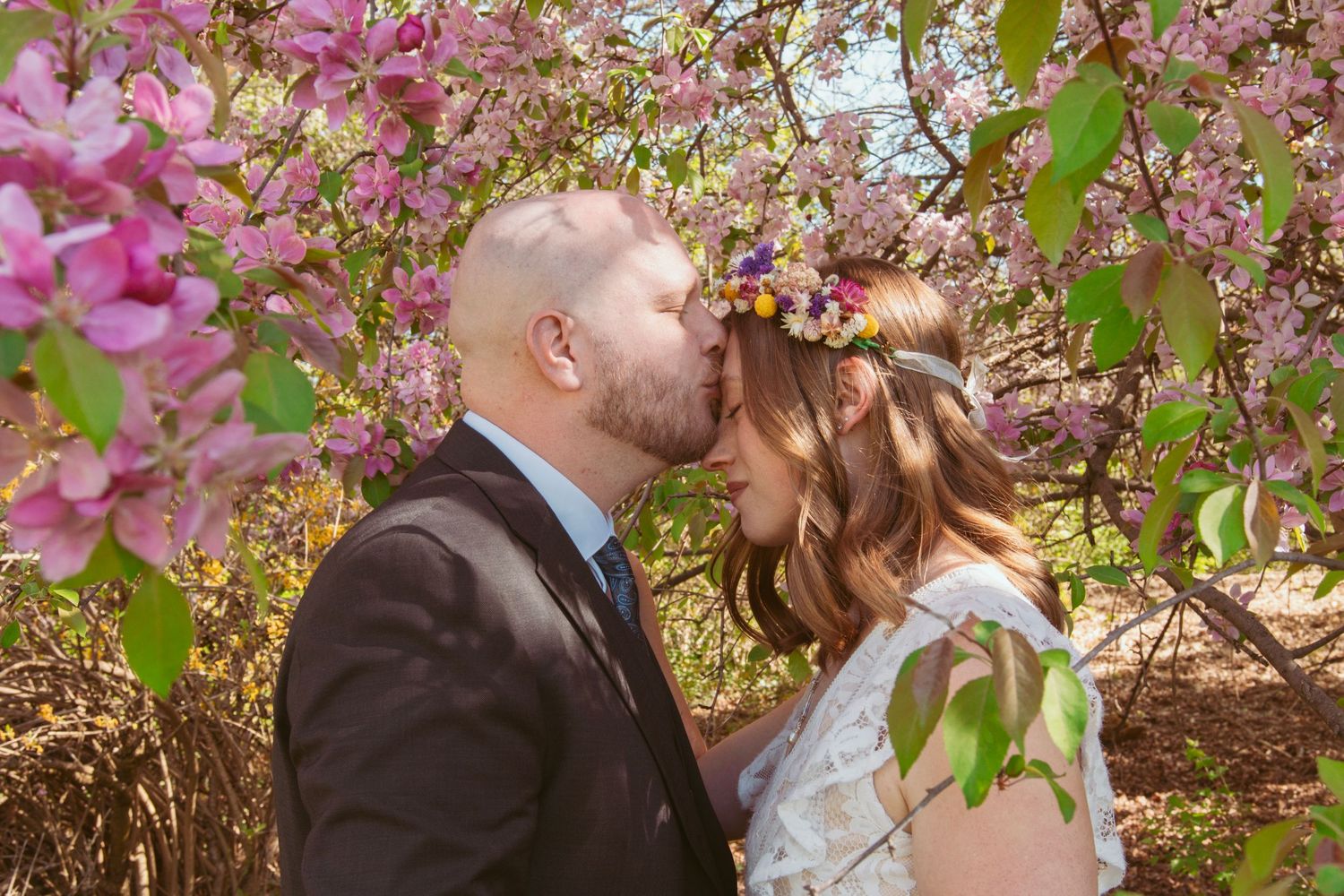 Beautiful pink cherry blossoms frame an intimate spring wedding ceremony.