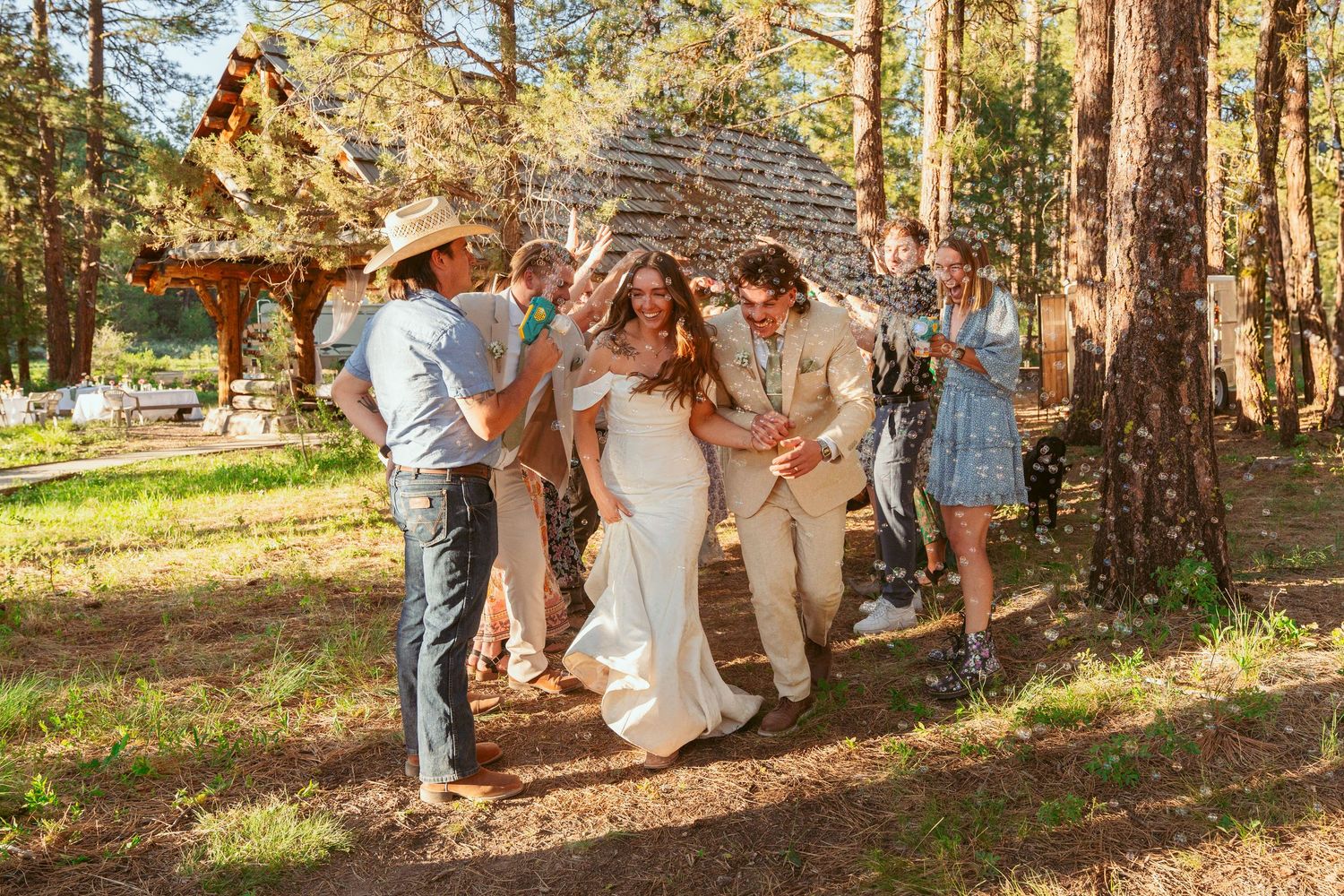 Wedding group poses together among tall pine trees during golden hour.