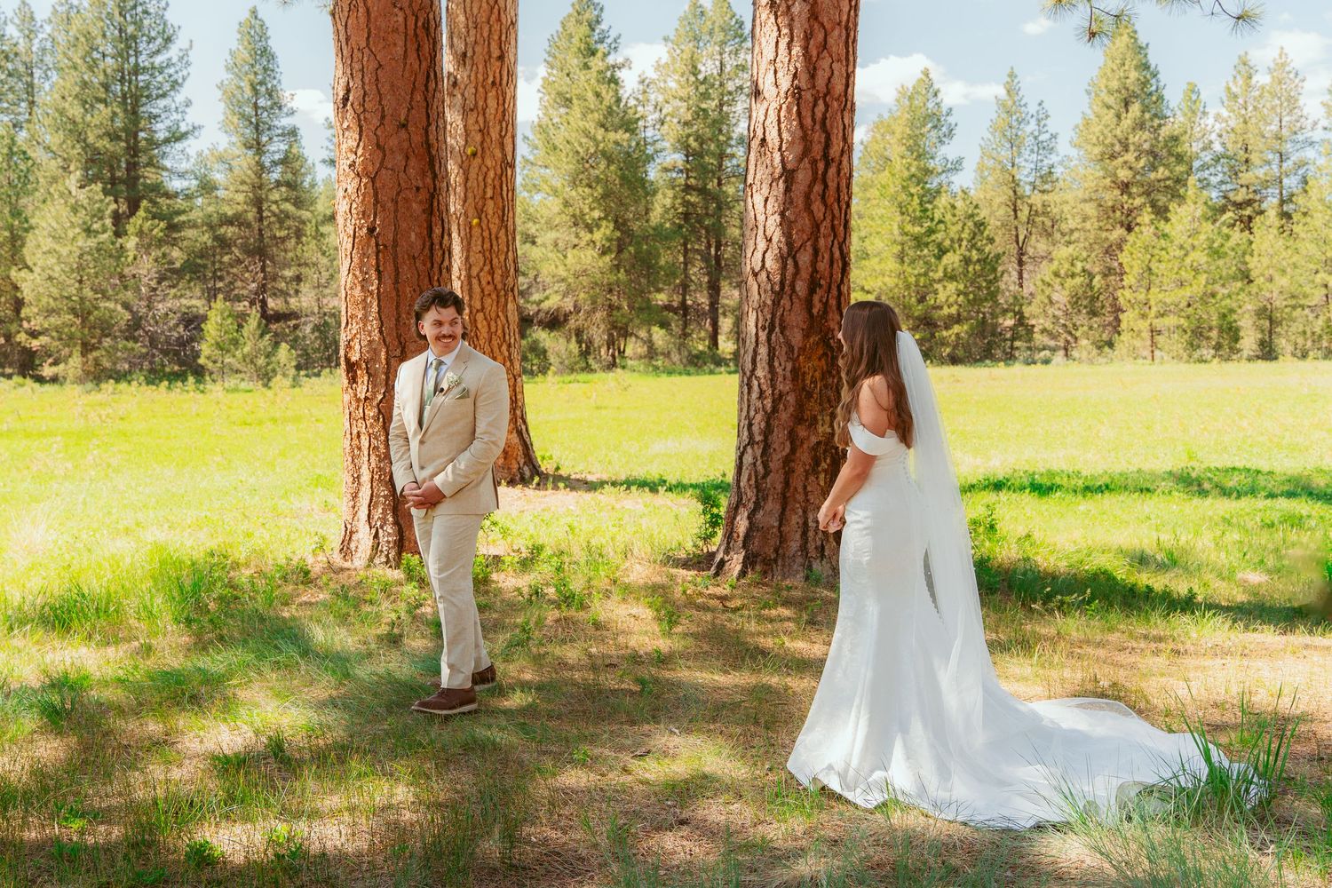 A wedding first look moment captured in a sunlit forest with tall pine trees and a grassy meadow.