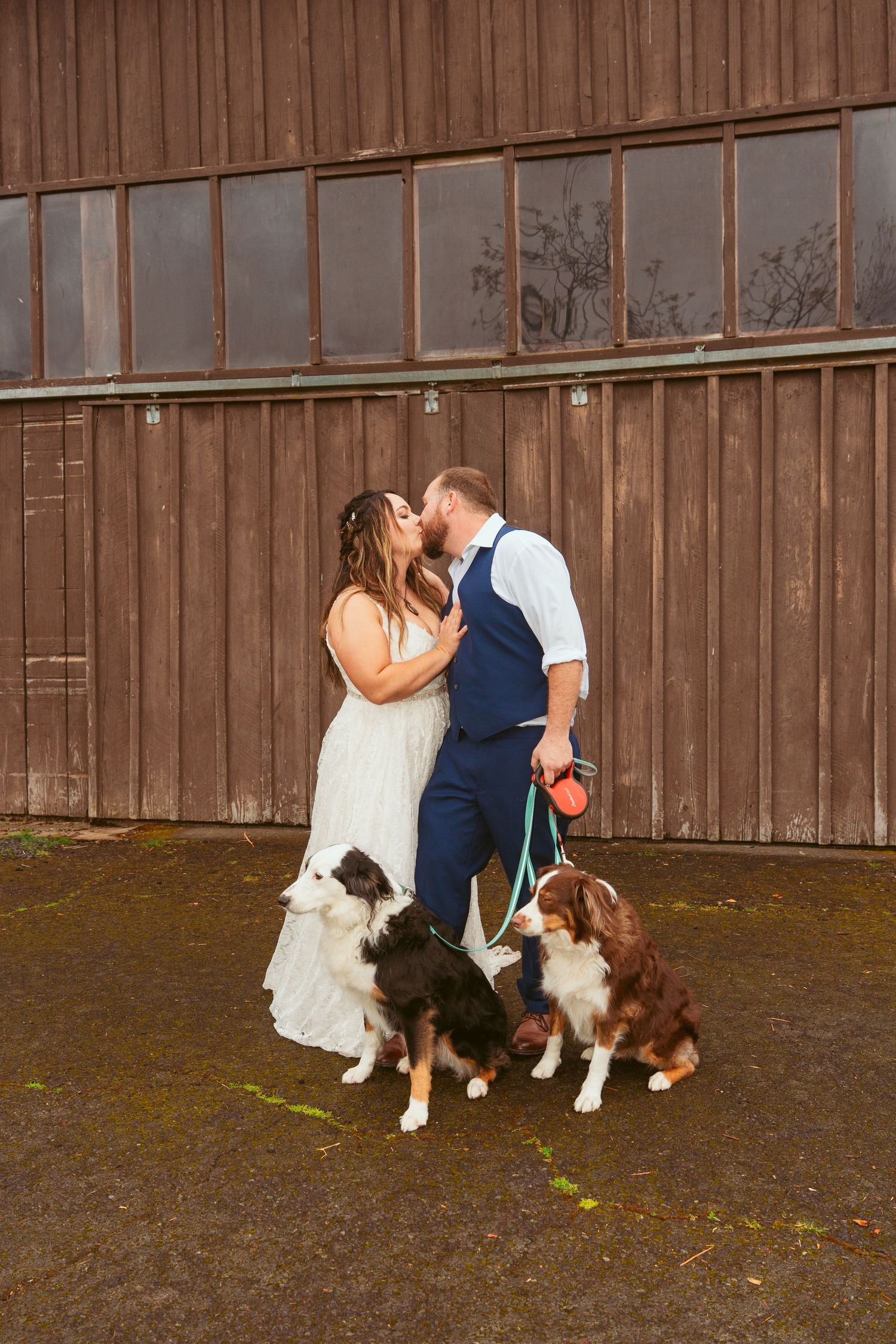 Newlyweds share romantic moment with their two dogs against rustic barn wall.