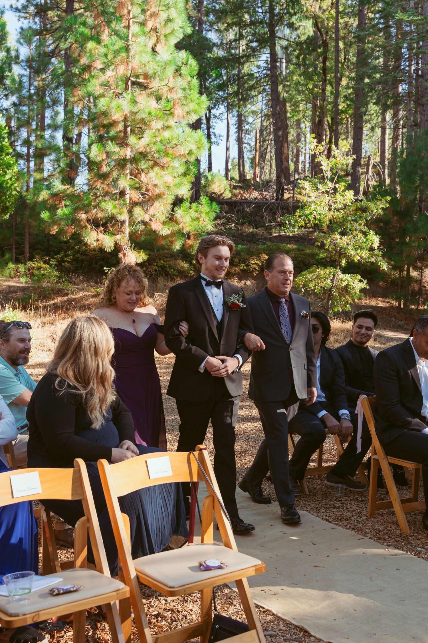 Wedding guests seated on wooden chairs along a stone path in a pine forest setting.