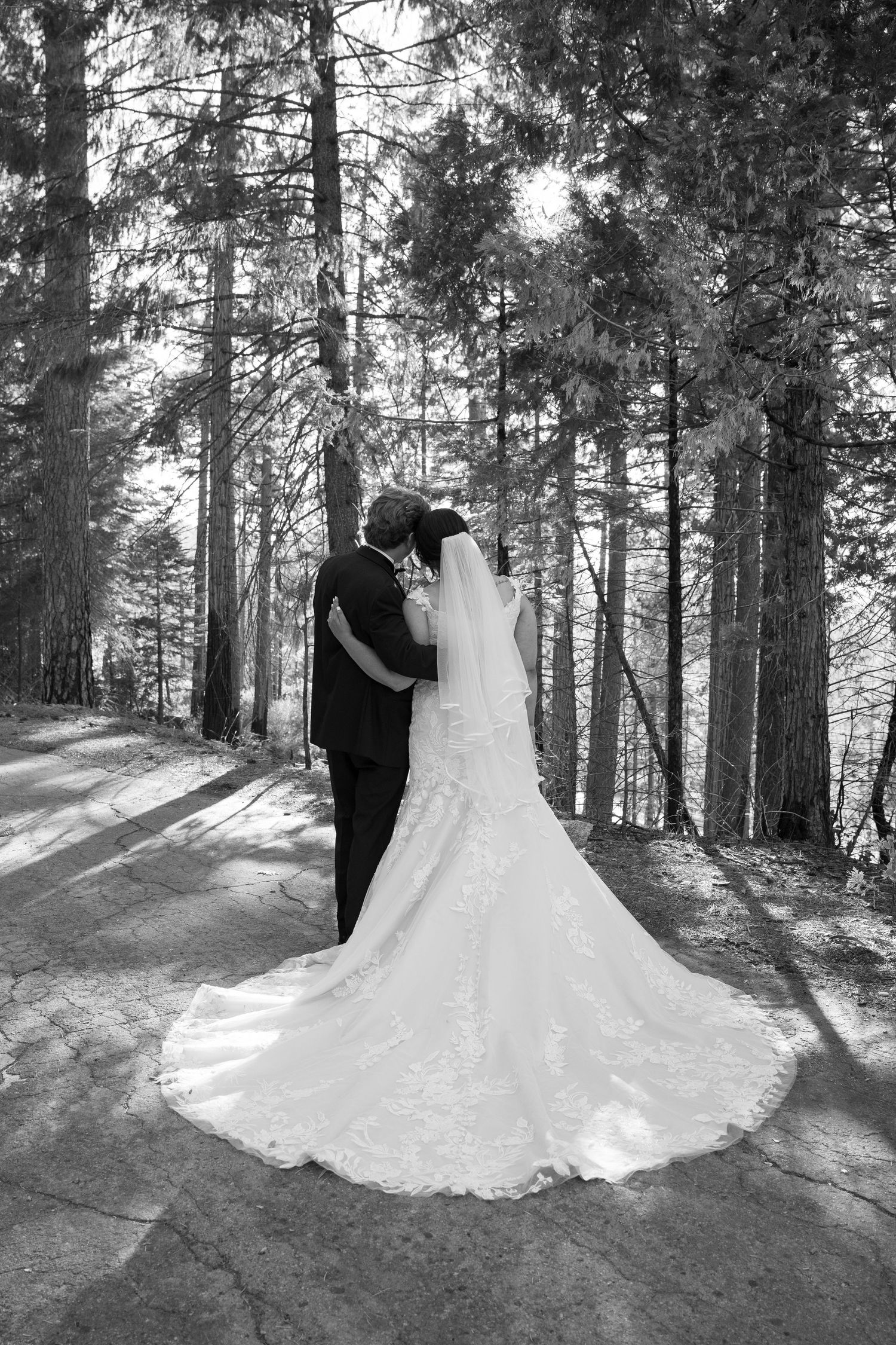A black and white wedding portrait showcasing the bride's elegant lace gown against a forest backdrop.