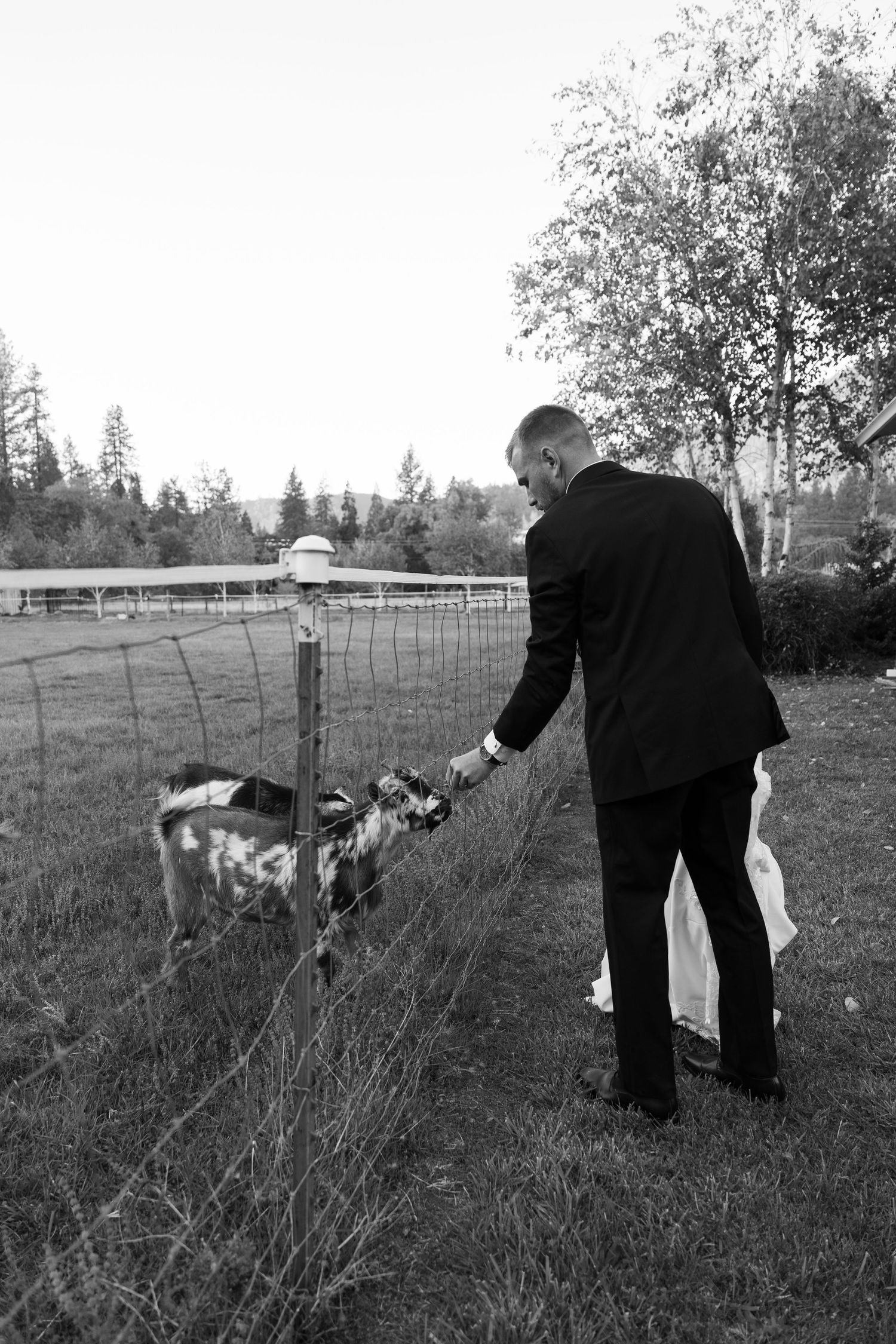 Black and white photo sequence of a couple walking through a rustic outdoor setting.