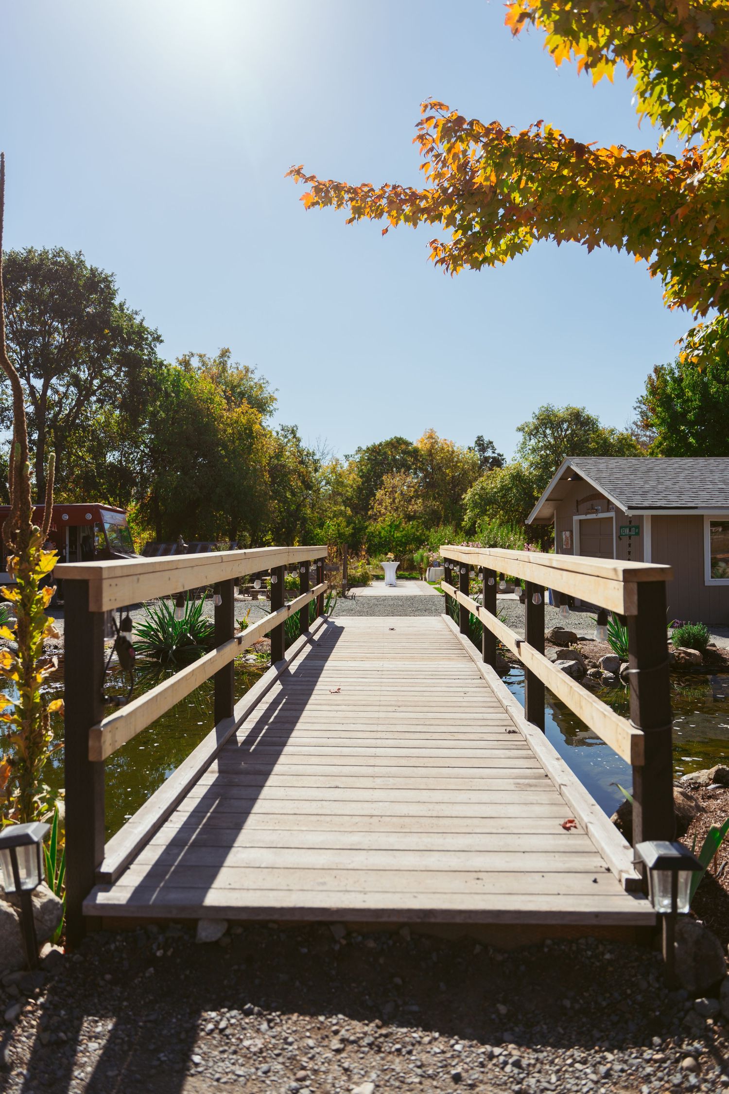 Wooden bridge walkway surrounded by autumn trees on a sunny day.