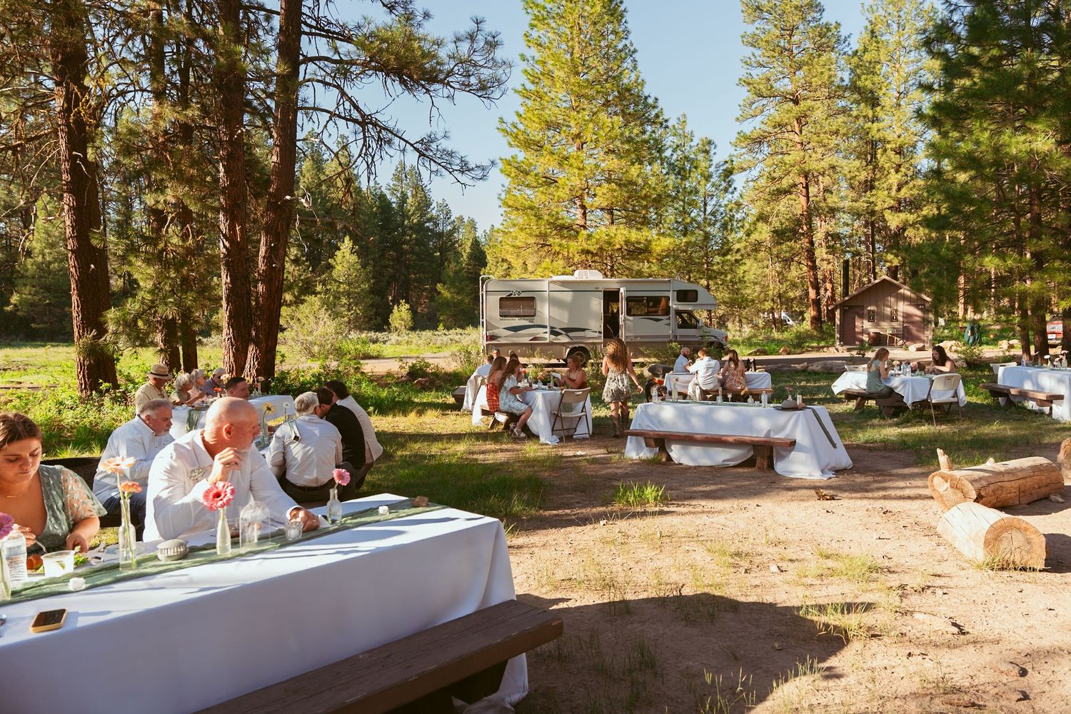 Outdoor wedding venue in a pine forest with white chairs and decorative elements.