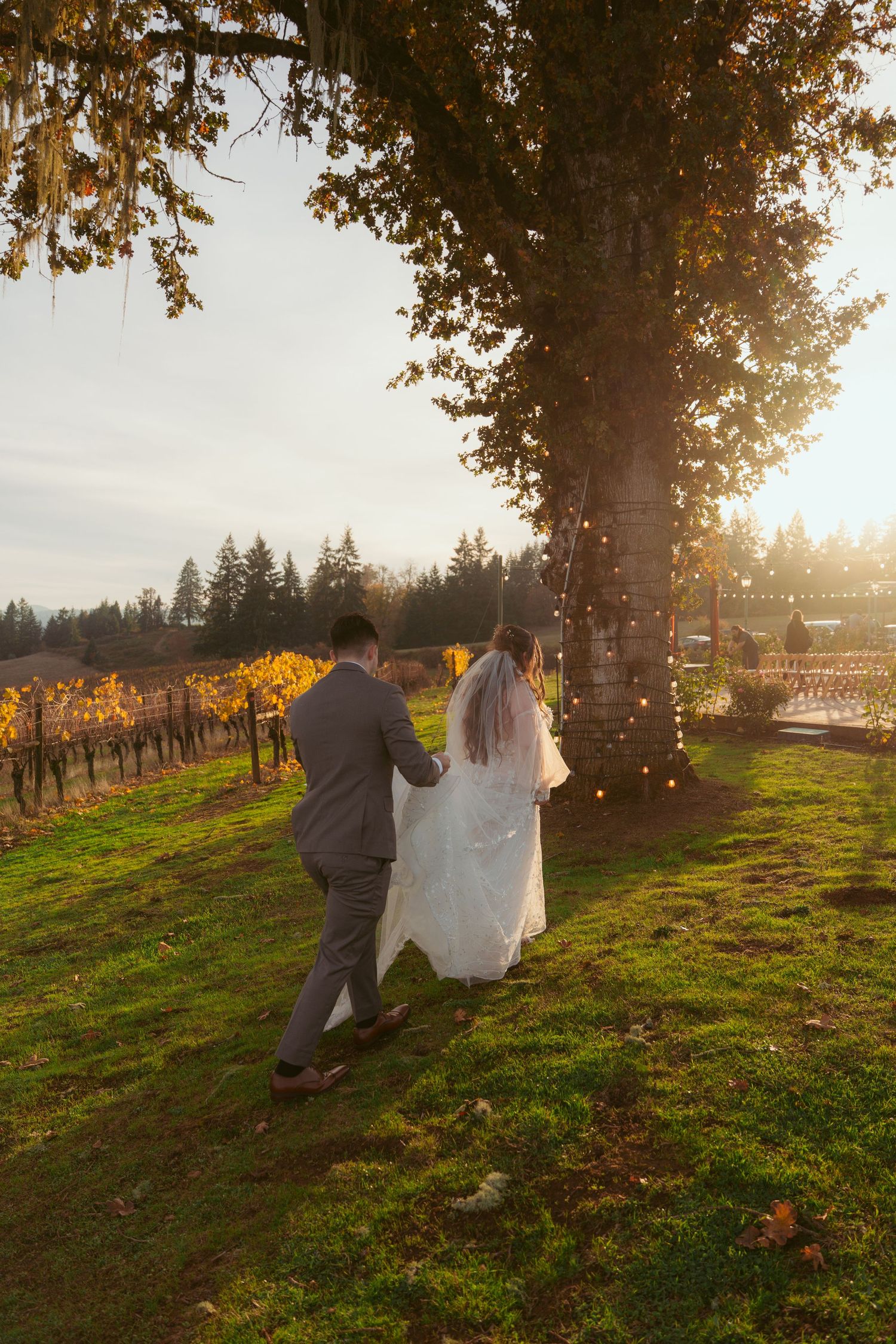 Newlyweds walk hand in hand at sunset beneath a decorated tree in a vineyard setting.