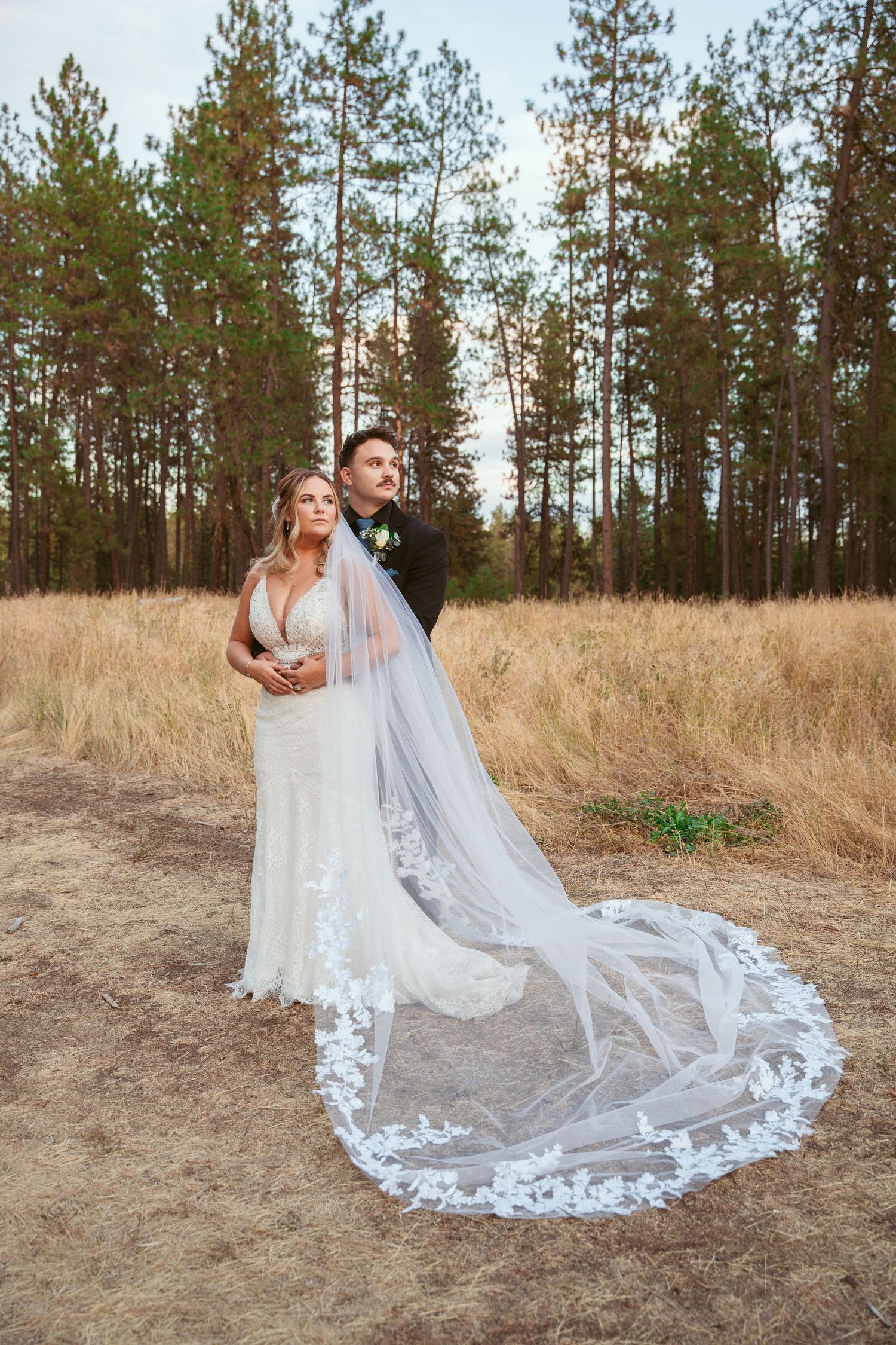 Wedding couple poses romantically with bride's long lace veil flowing in golden field with pine forest backdrop.