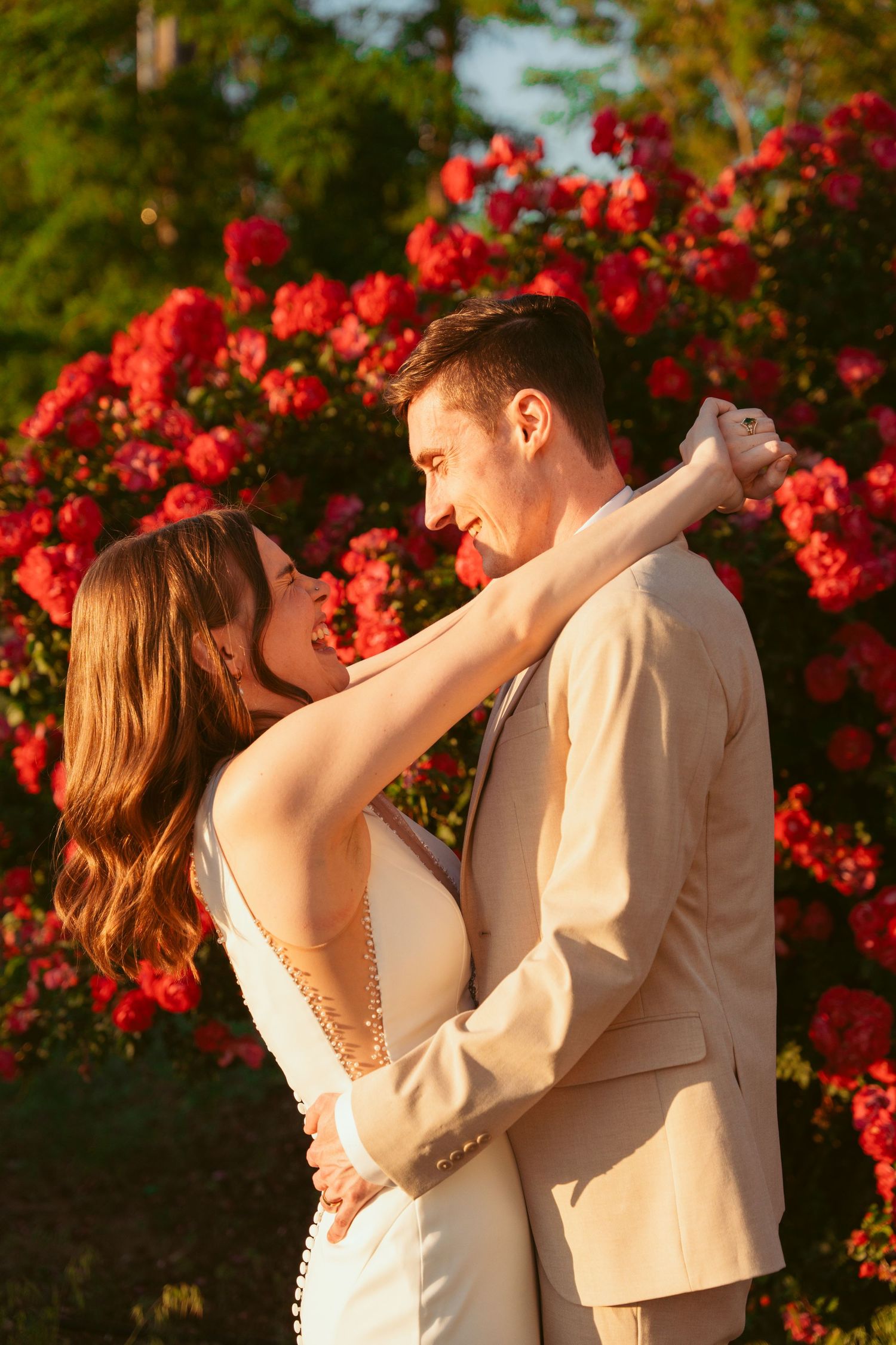 Wedding couple embracing at golden hour with blooming red roses creating a romantic backdrop.