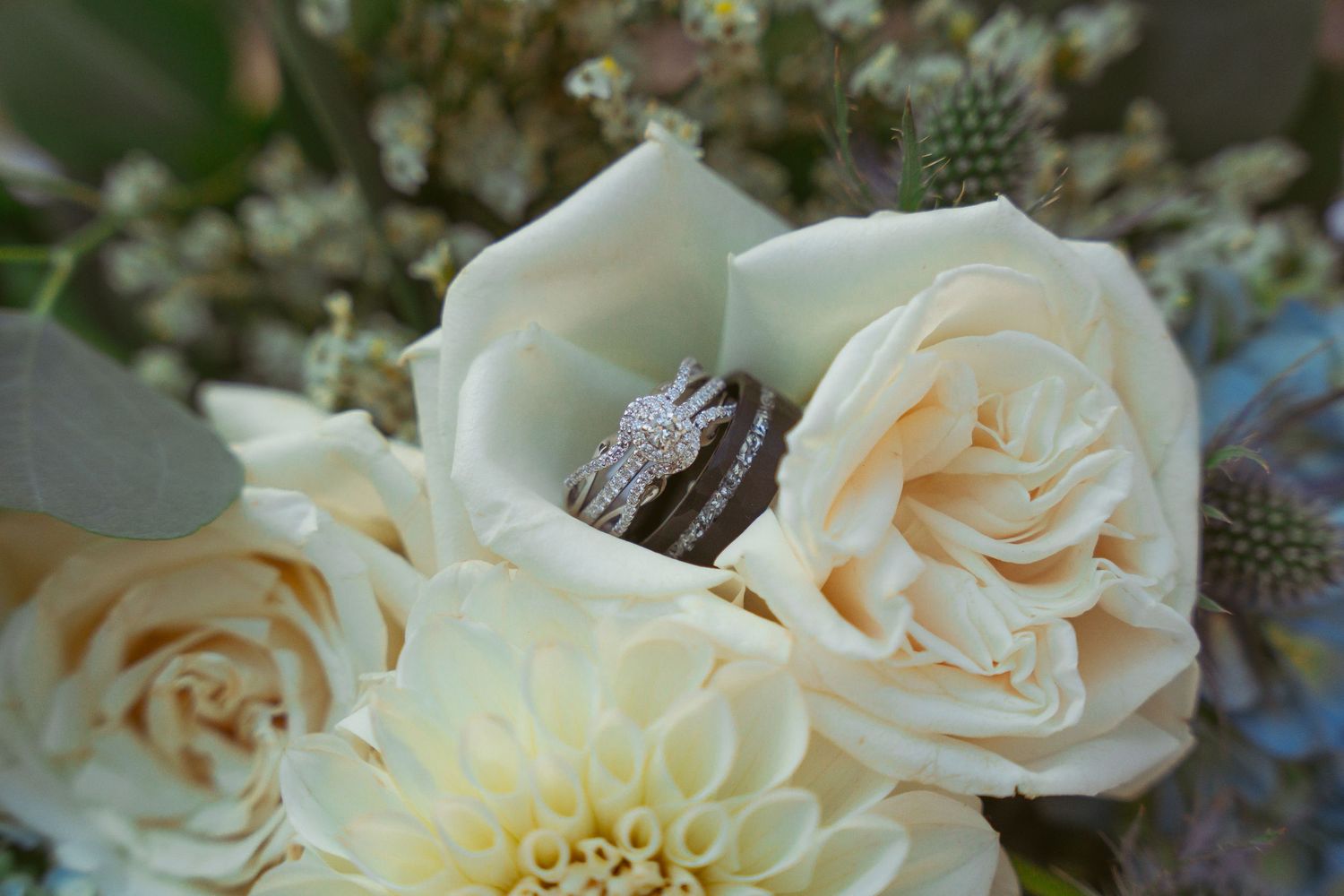 Wedding rings nestled between cream colored roses and dahlias in a romantic floral arrangement.