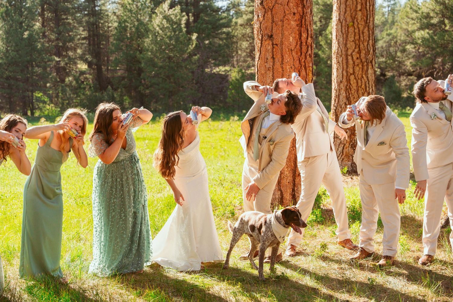 Wedding group photo with bridesmaids in mint green dresses lined up against tall pine trees.