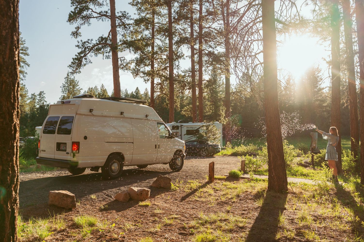 Vintage camper vans parked among tall pine trees at sunset in a rustic camping area.