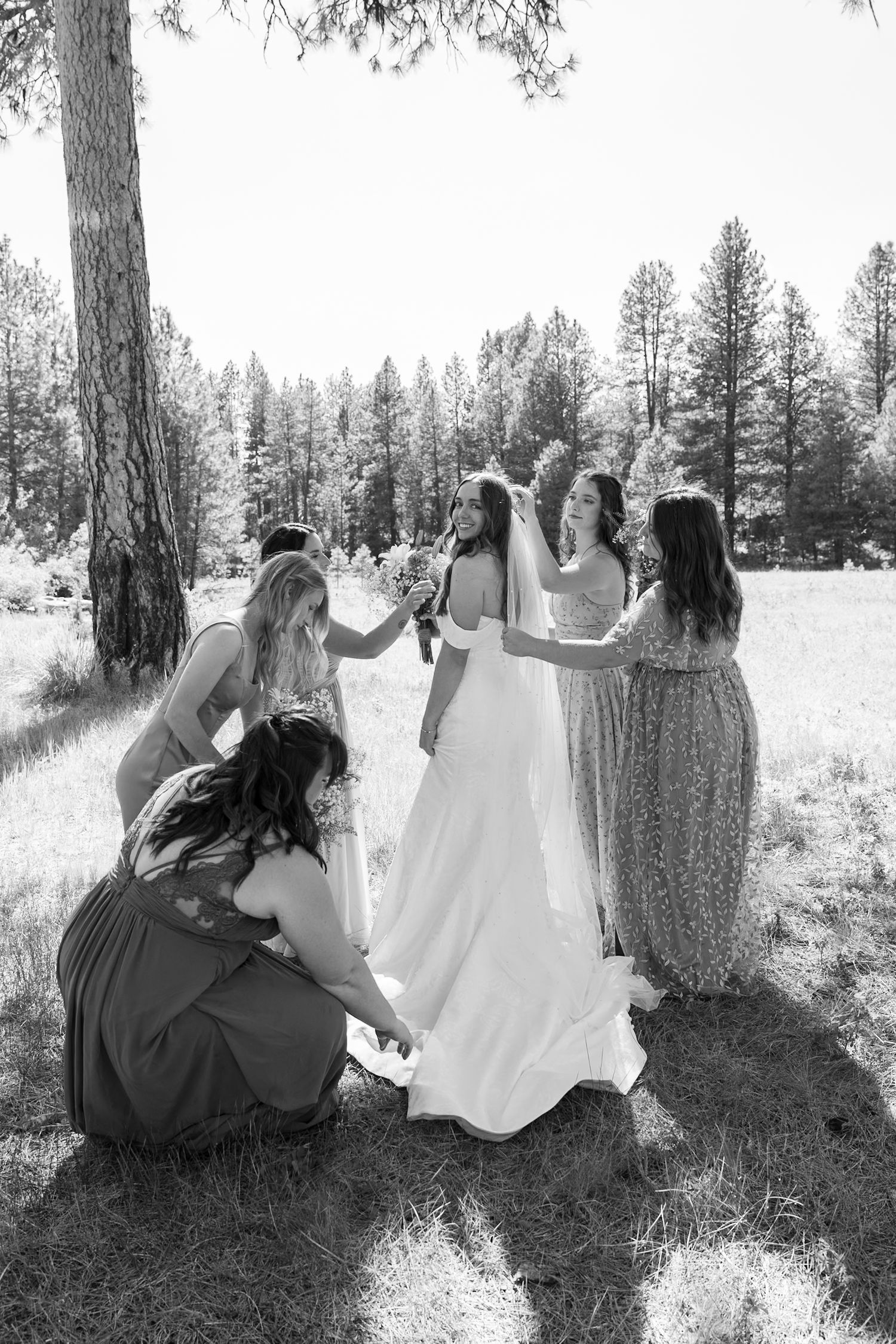 Wedding party relaxing under pine trees in a scenic outdoor setting.