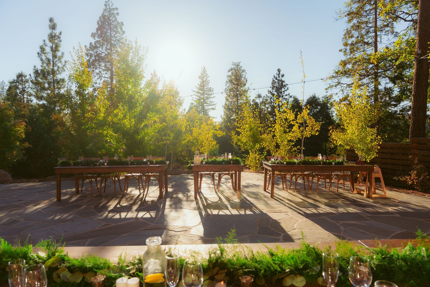 Outdoor wedding venue panorama showing wooden deck and surrounding pine trees in golden sunlight.