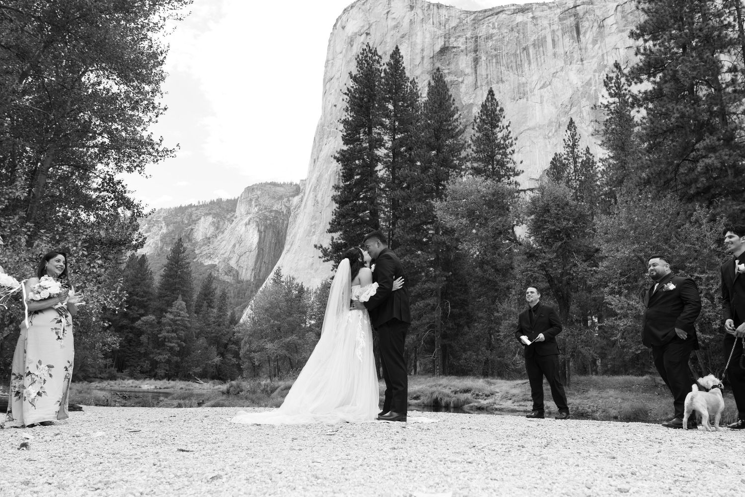 Wedding group poses with El Capitan cliff face visible in Yosemite Valley.