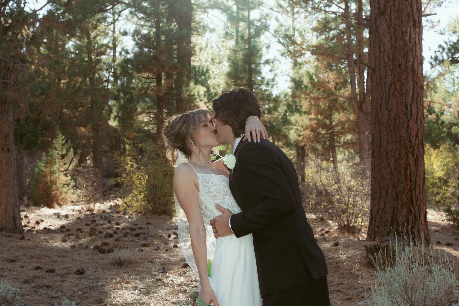 A romantic forest wedding scene with tall pine trees creating a natural cathedral effect.