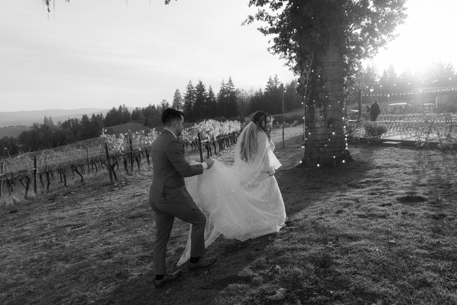 Black and white photo of newlyweds dancing together near a decorated tree in a vineyard.