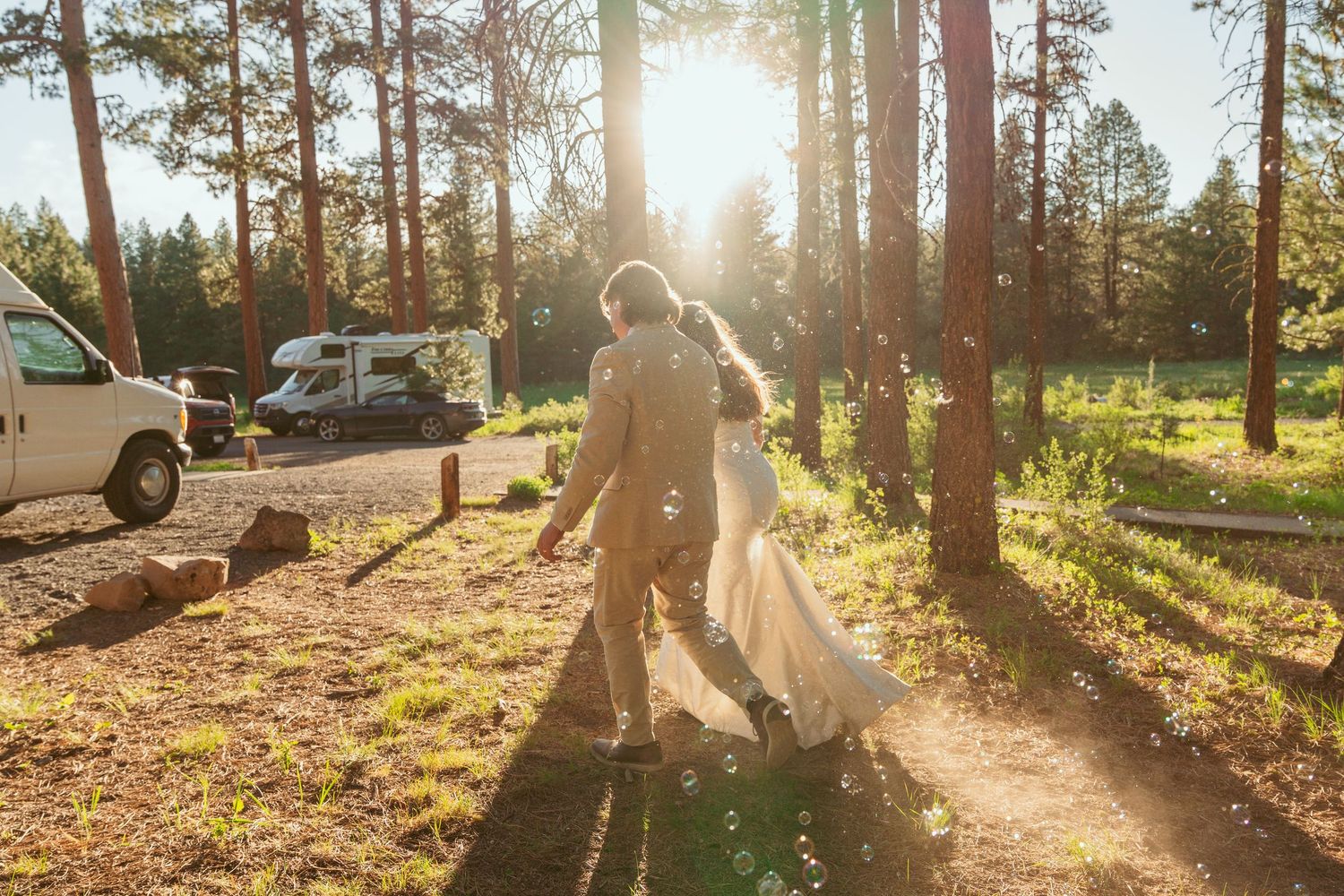 Sunlight streams through pine trees as wedding attendees gather in a forest clearing.
