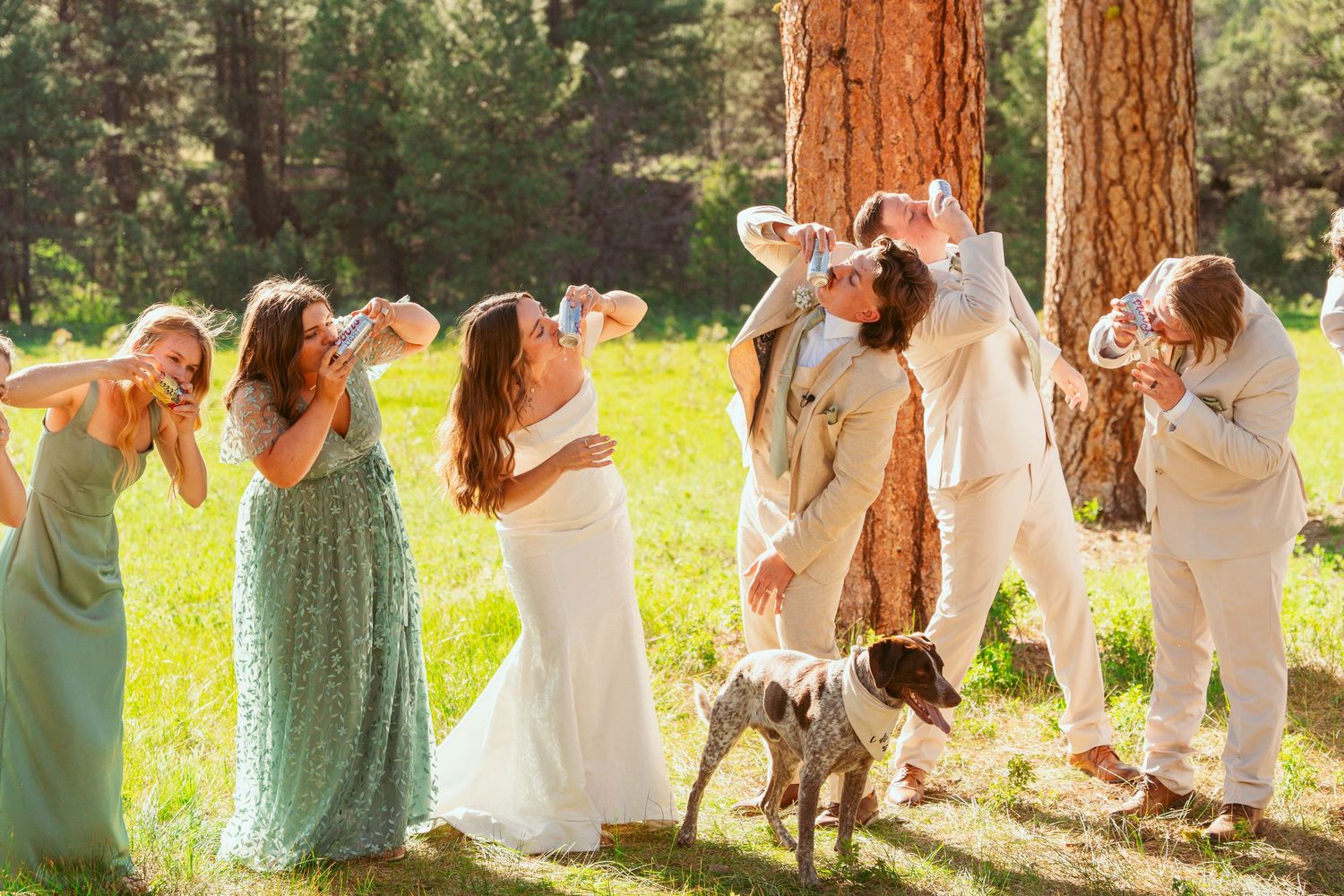 Bridal party in mint green and white attire poses between rustic pine trees.