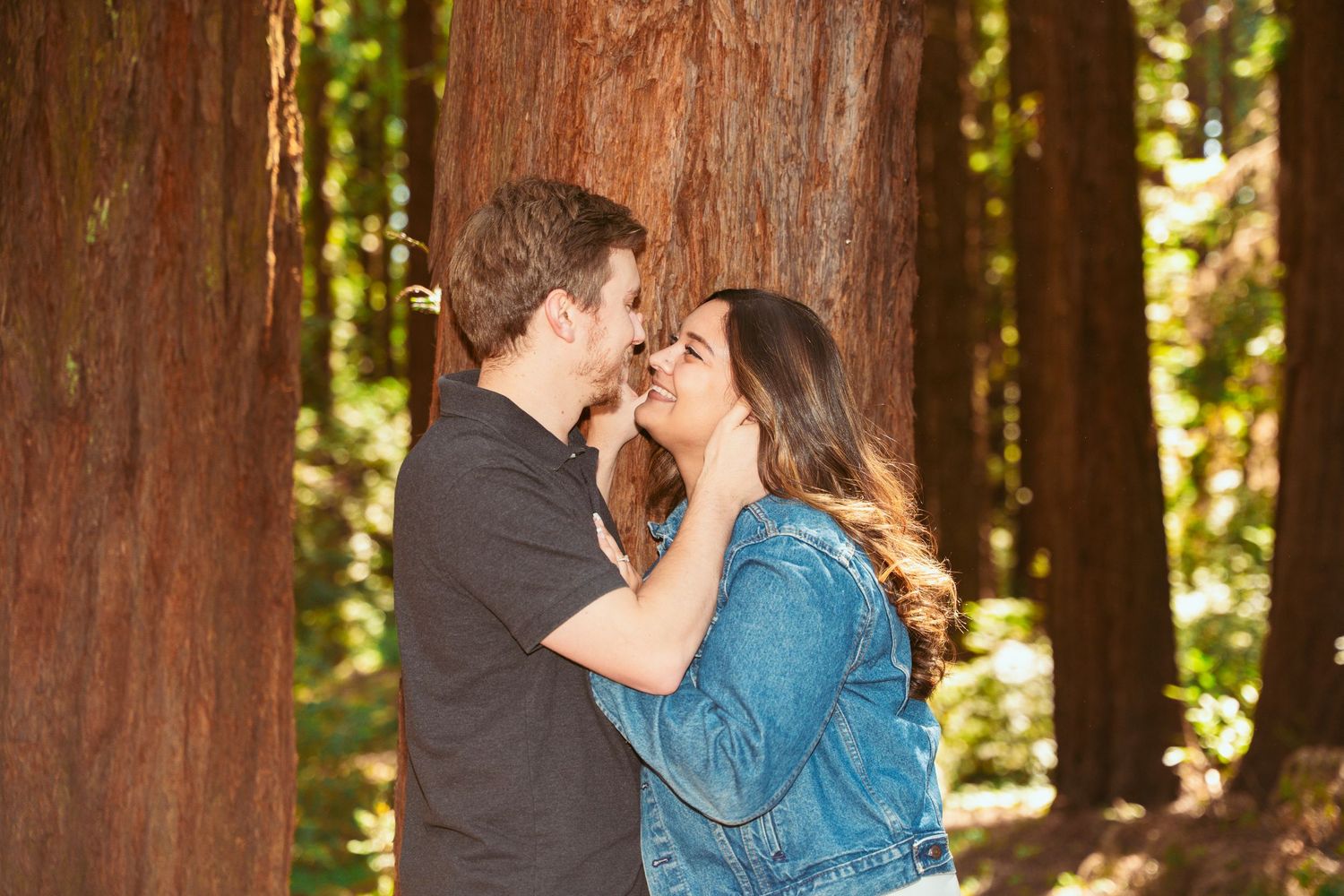 A romantic moment captured against the backdrop of a majestic redwood tree.
