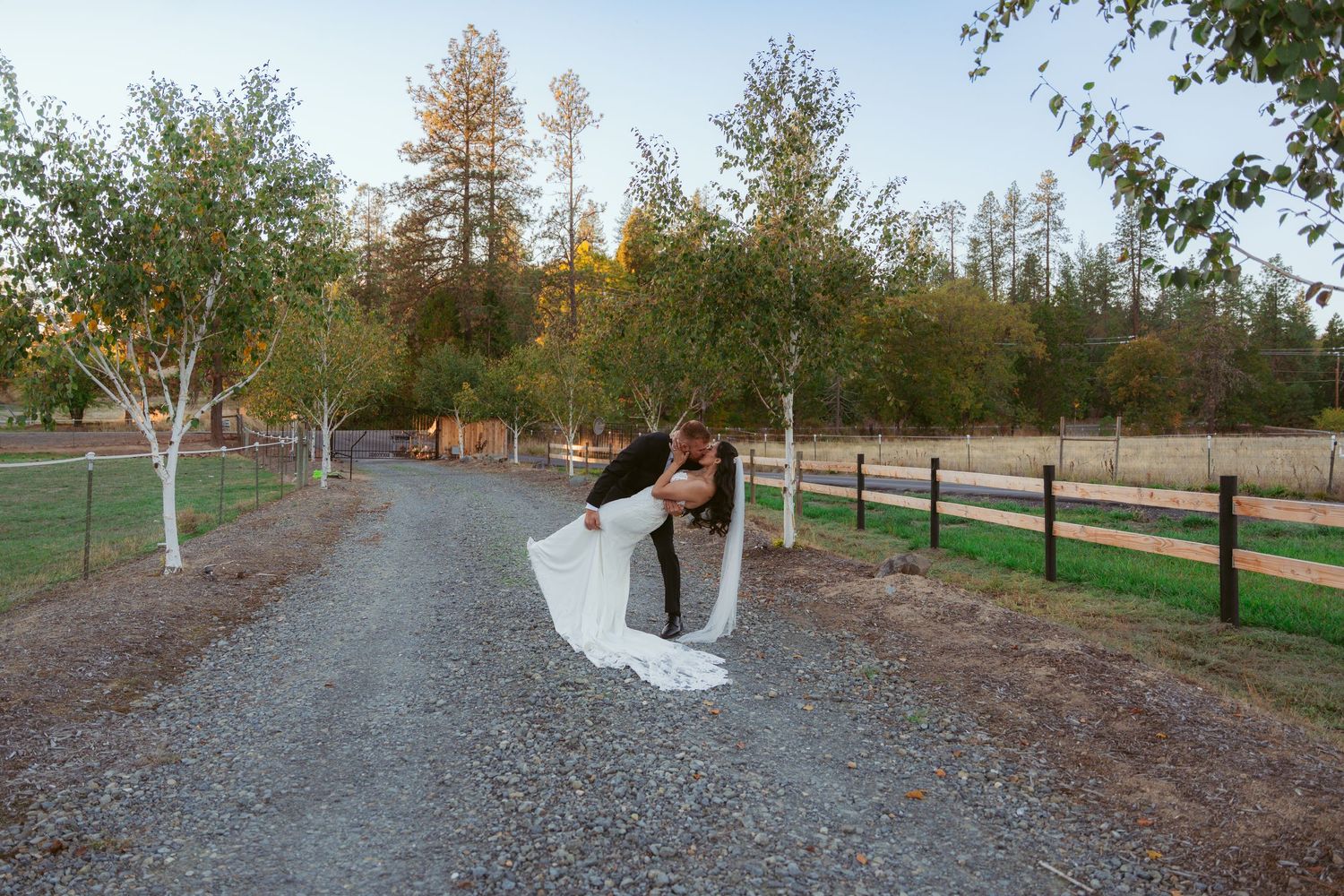 Wedding couple photographed from behind walking along gravel path lined with trees.