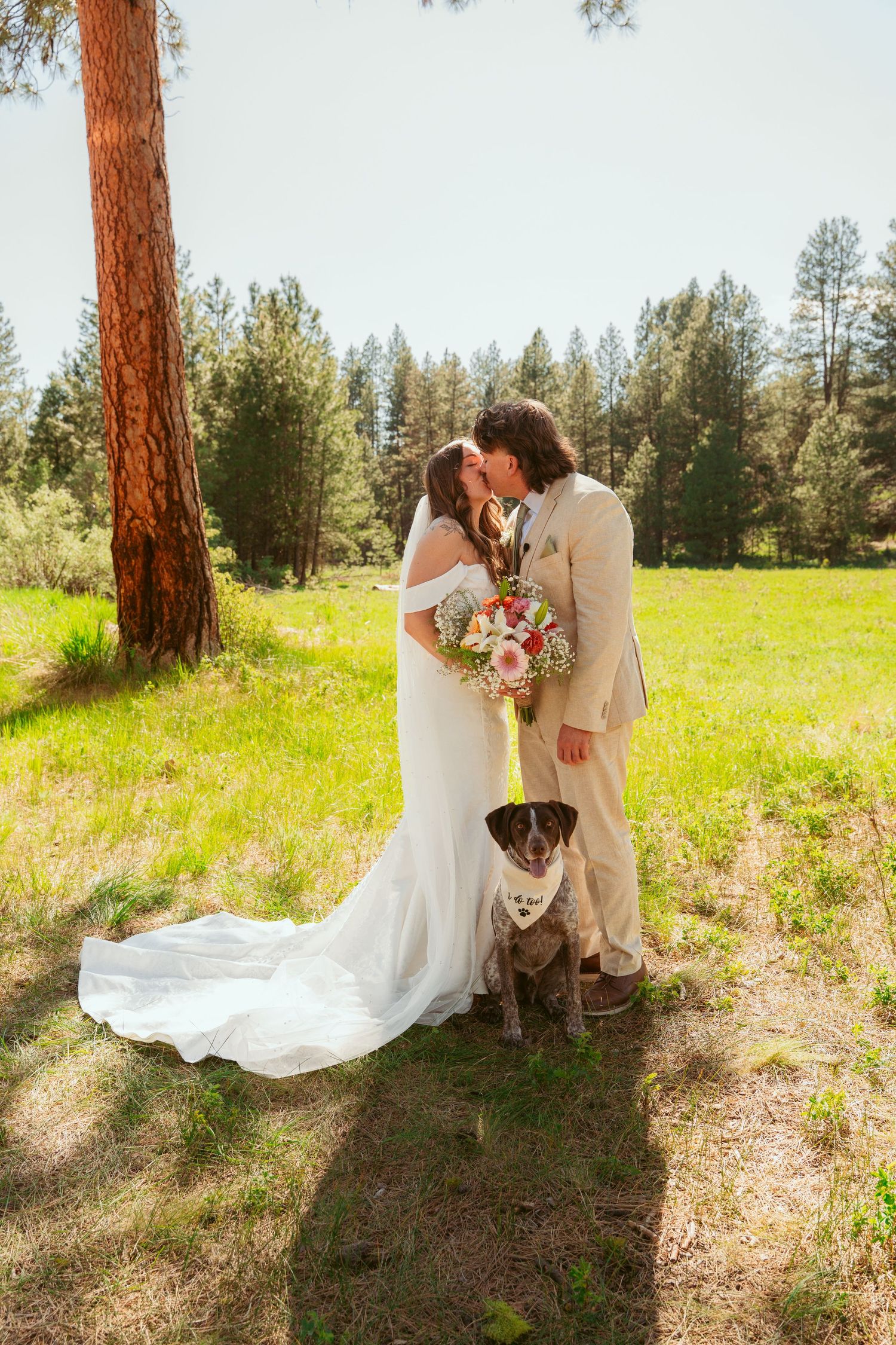 Newlyweds pose with their dog in sun-dappled forest clearing.