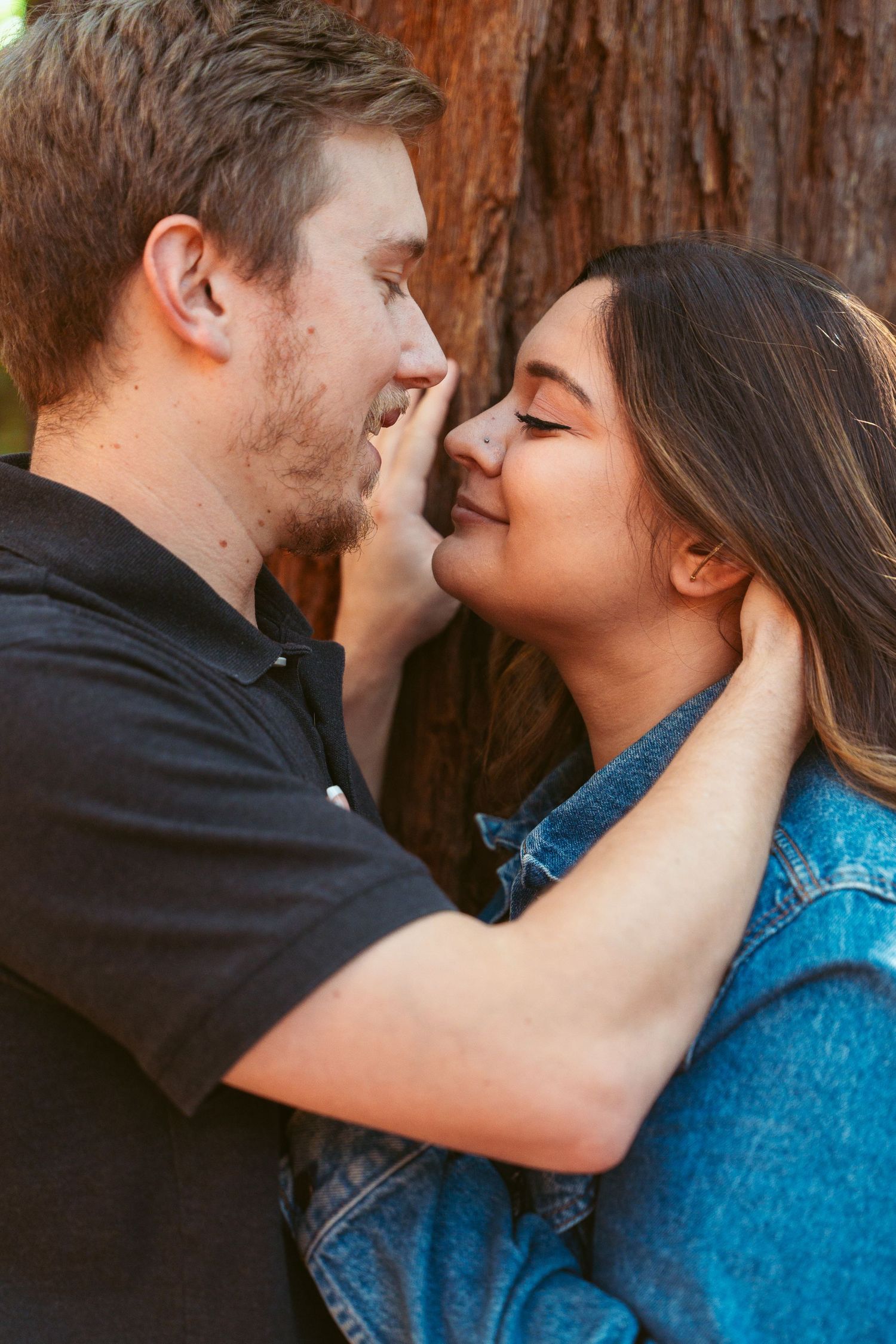 A tender embrace captured in a series of romantic moments in the redwood forest.