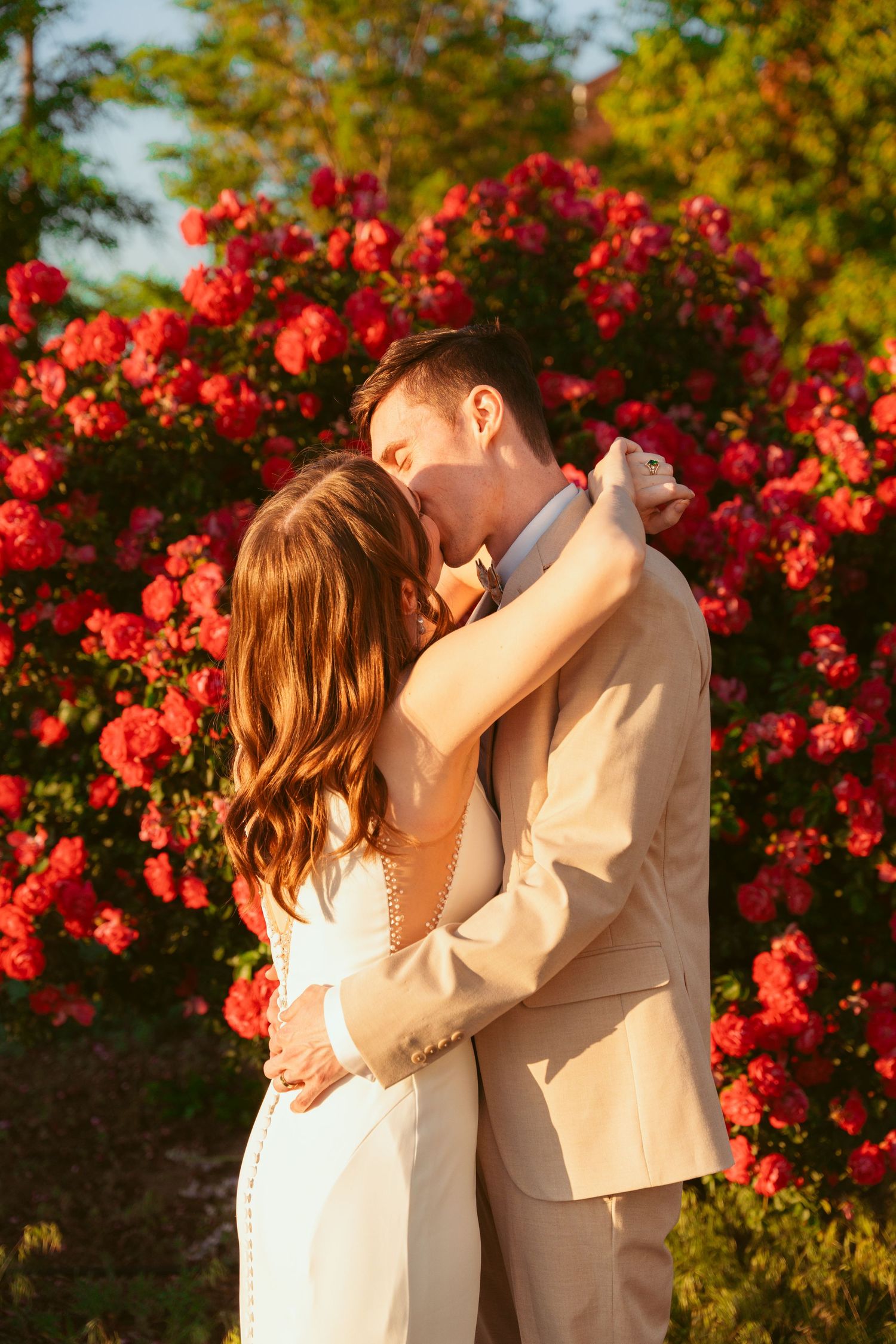 Romantic sunset kiss with couple silhouetted against vibrant red rose garden.