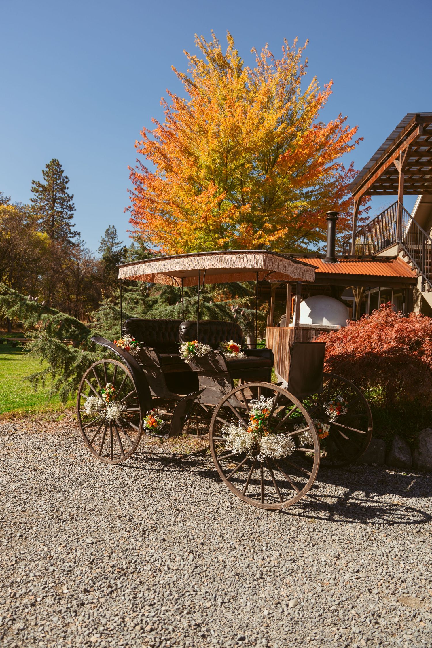 Vintage horse carriage displayed near fall foliage and rustic building.