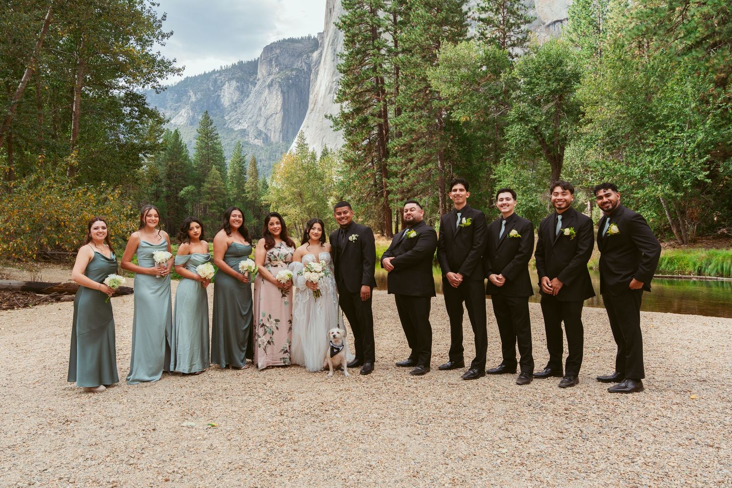 Large wedding party arranged in a line against the scenic backdrop of Yosemite National Park.